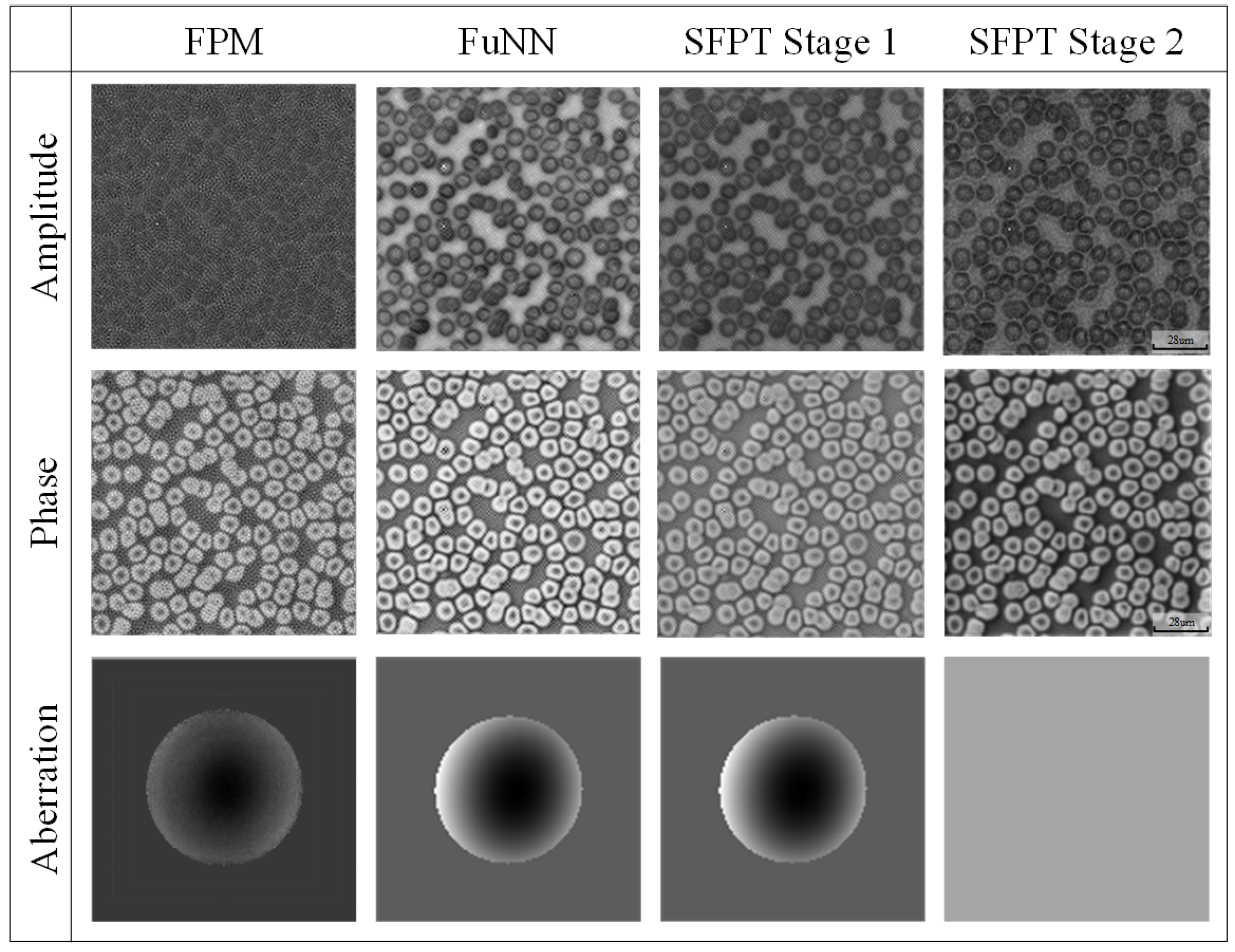 Applsci 15 00423 g005