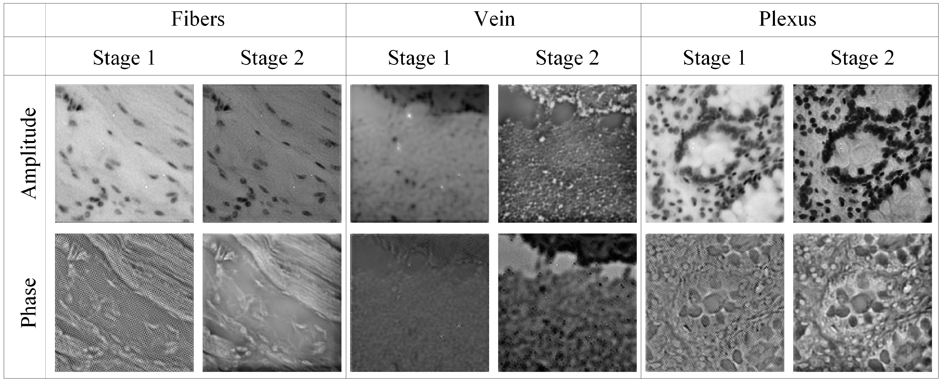 Applsci 15 00423 g006