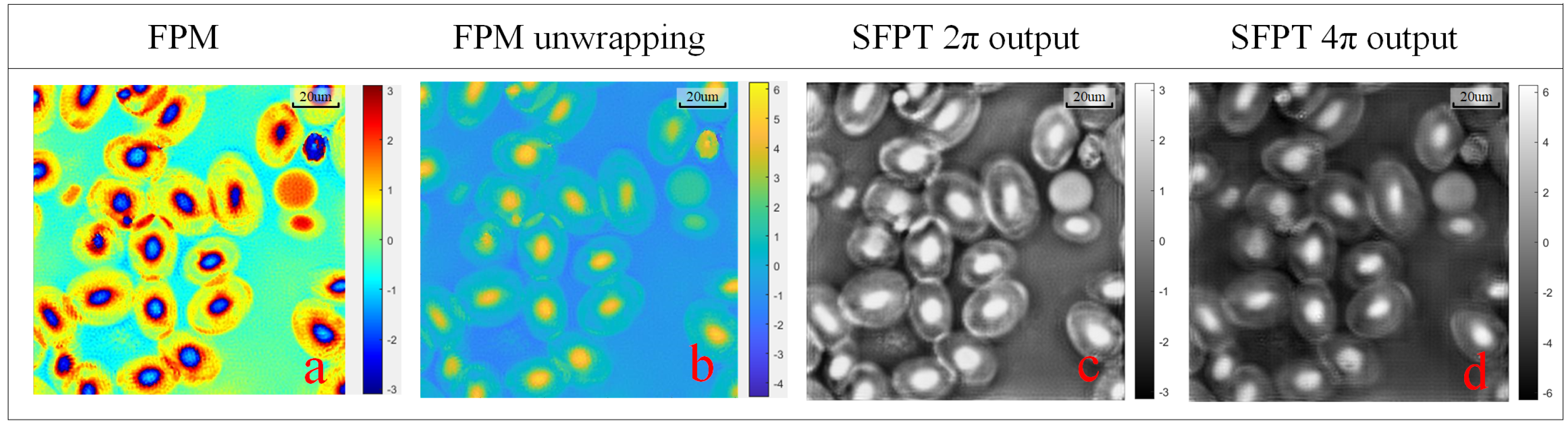 Applsci 15 00423 g008