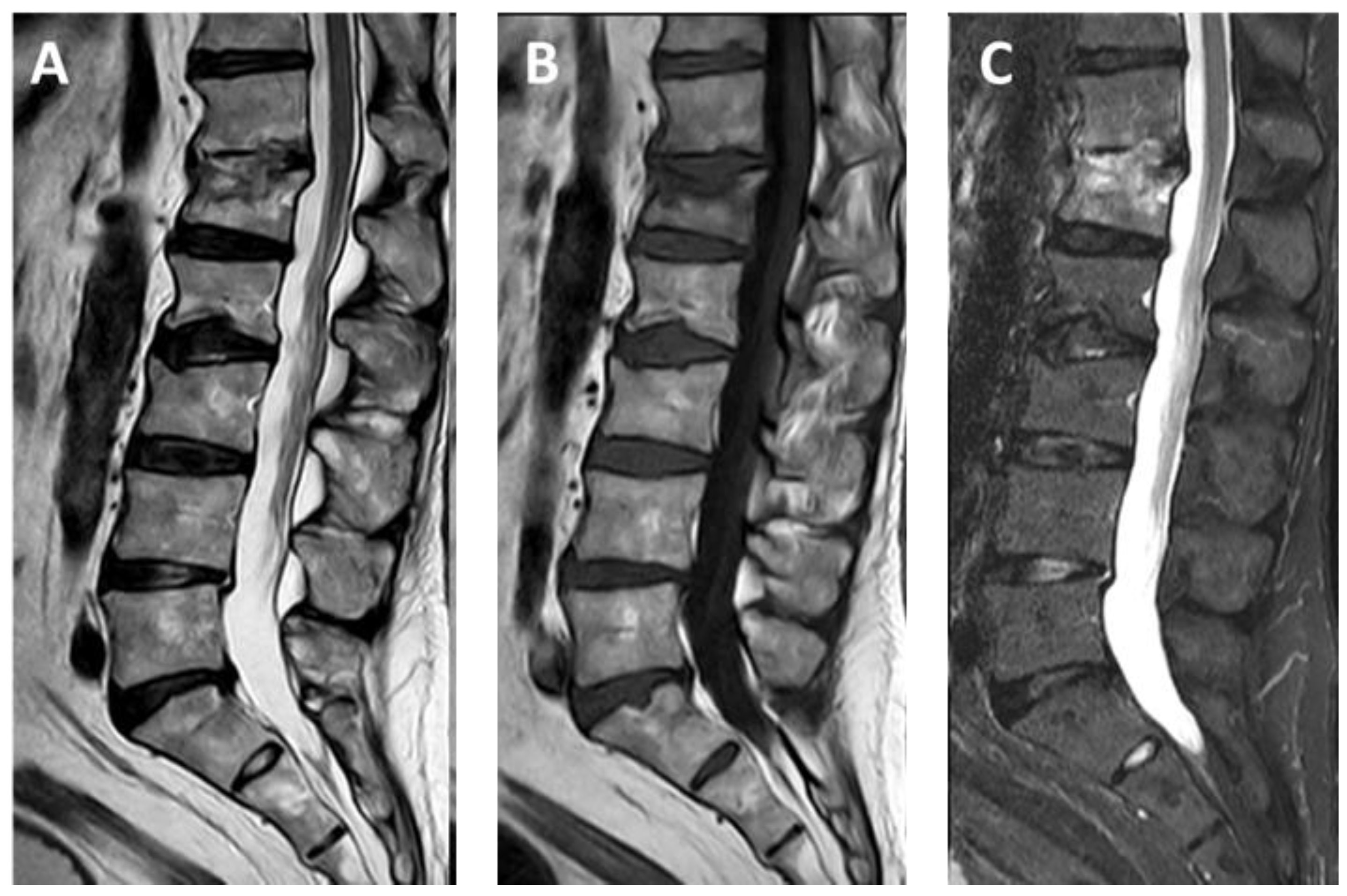 Applsci 15 00426 g001 Applsci 15 00426 g001