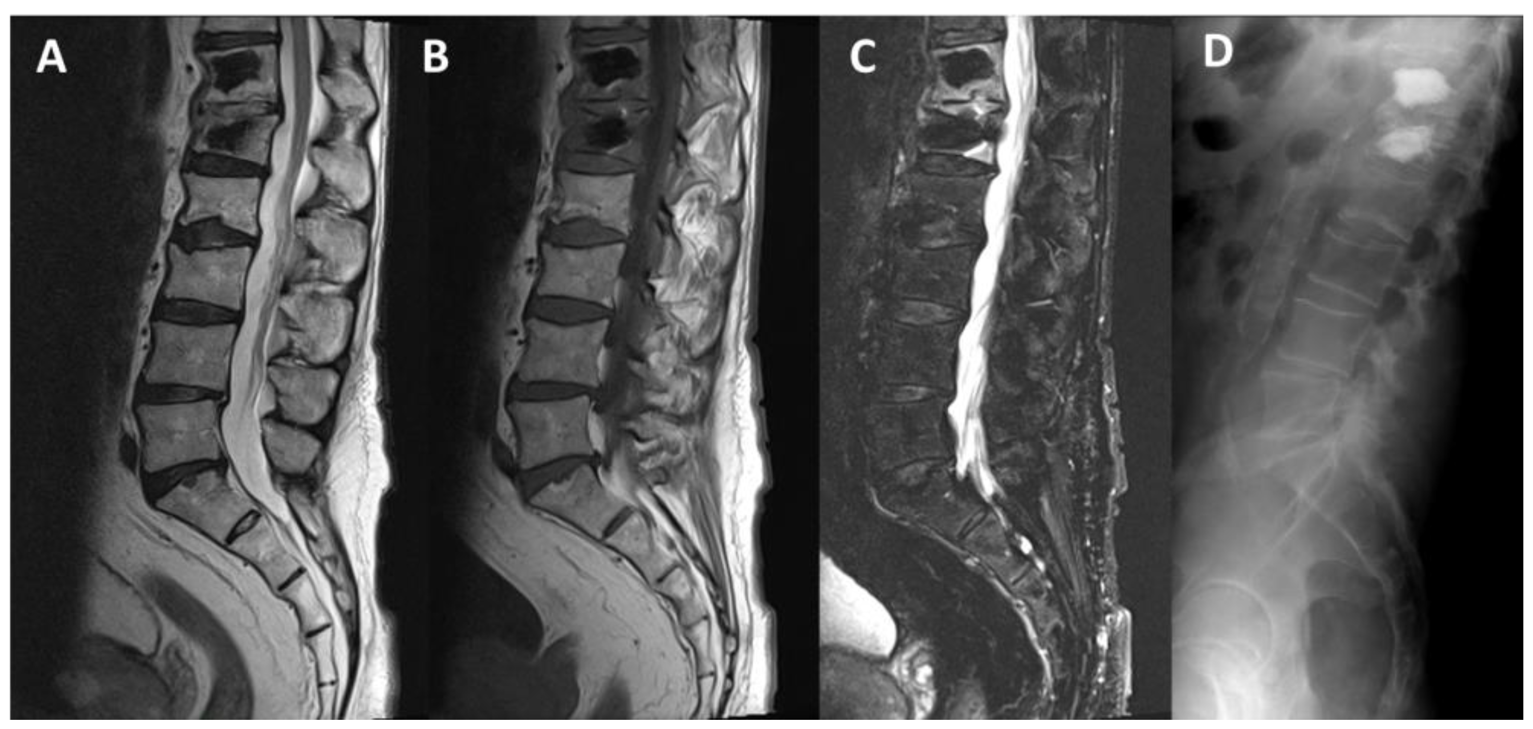 Applsci 15 00426 g003 Applsci 15 00426 g003