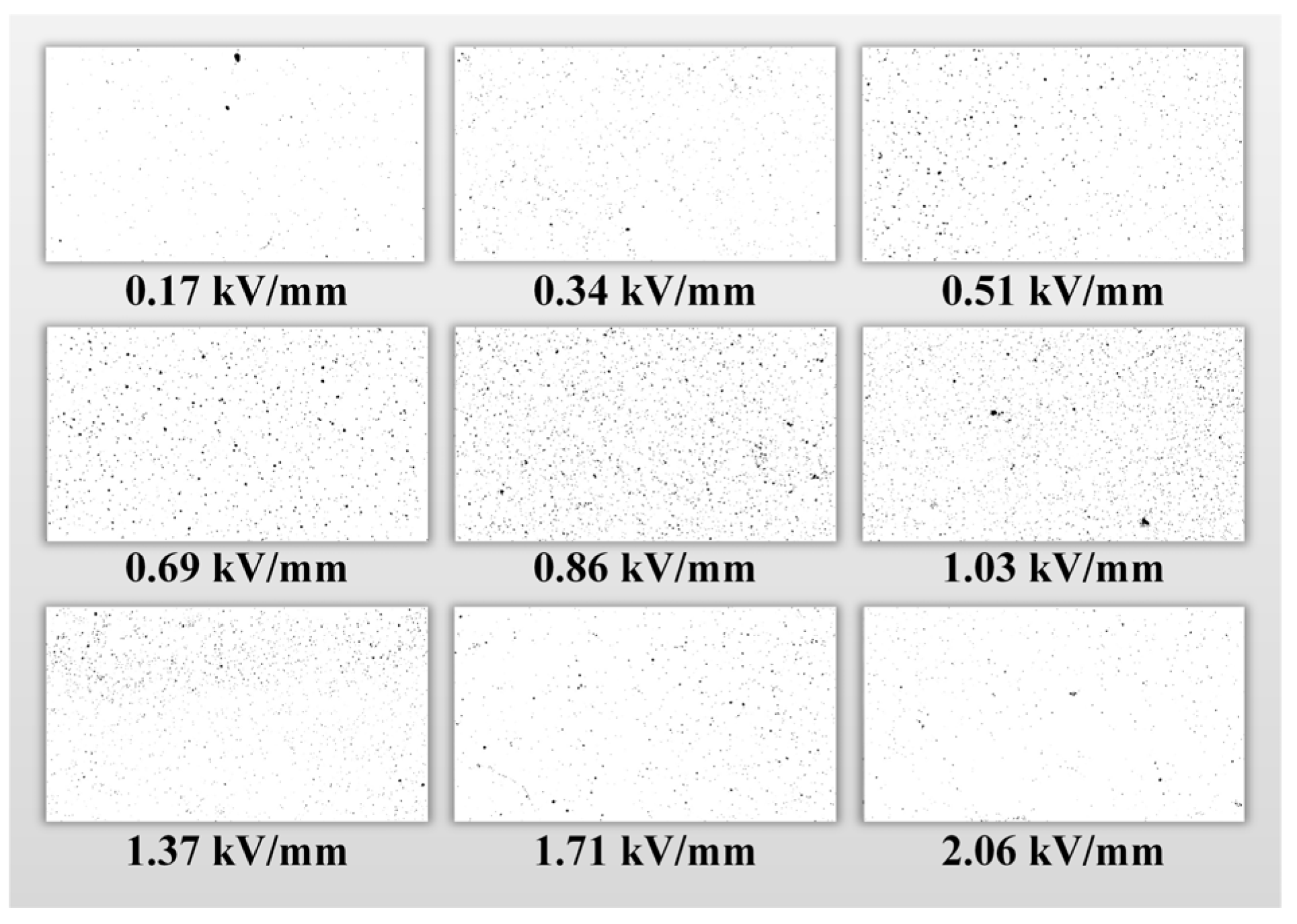 Applsci 15 00431 g008