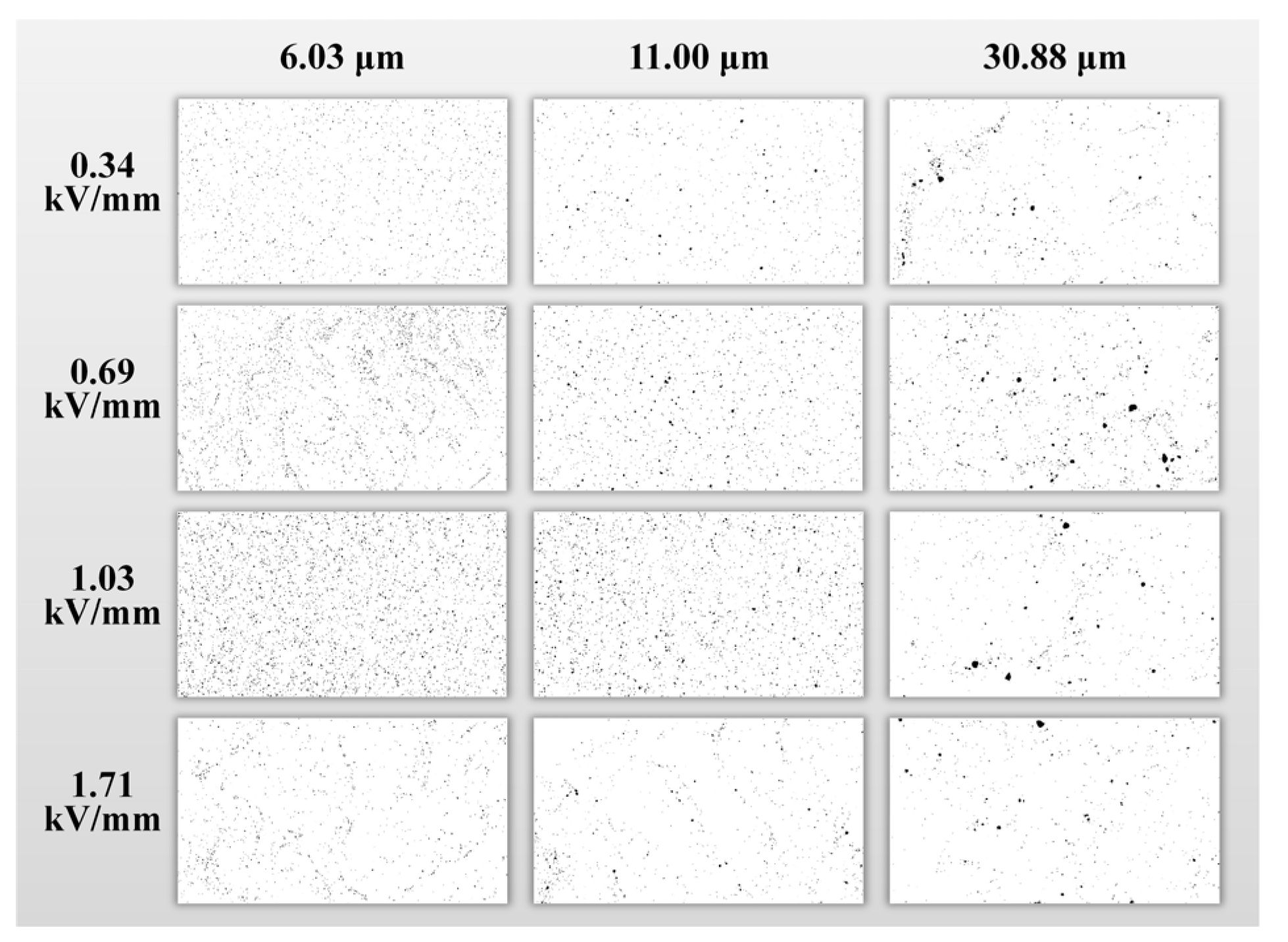Applsci 15 00431 g011