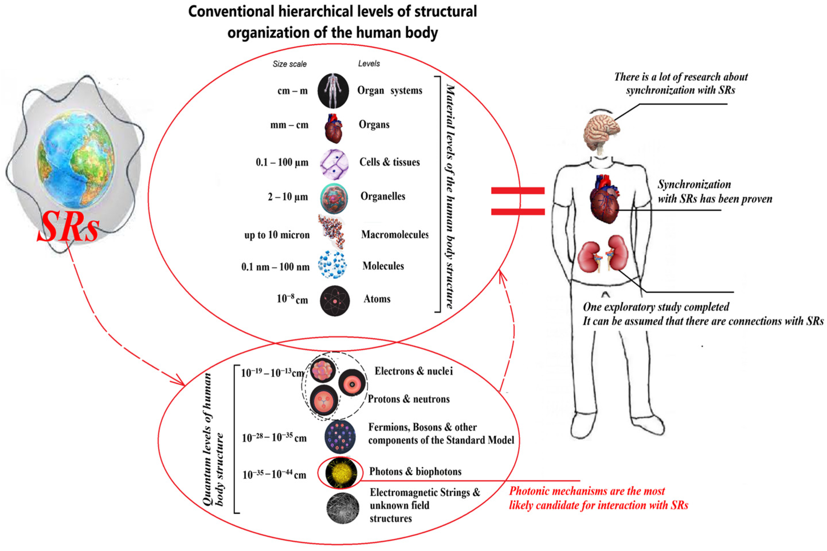 Applsci 15 00449 g001