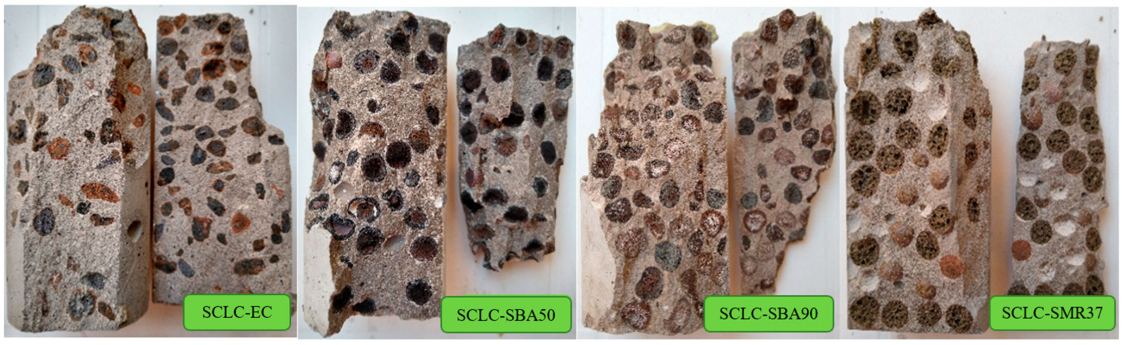 Applsci 15 00452 g014