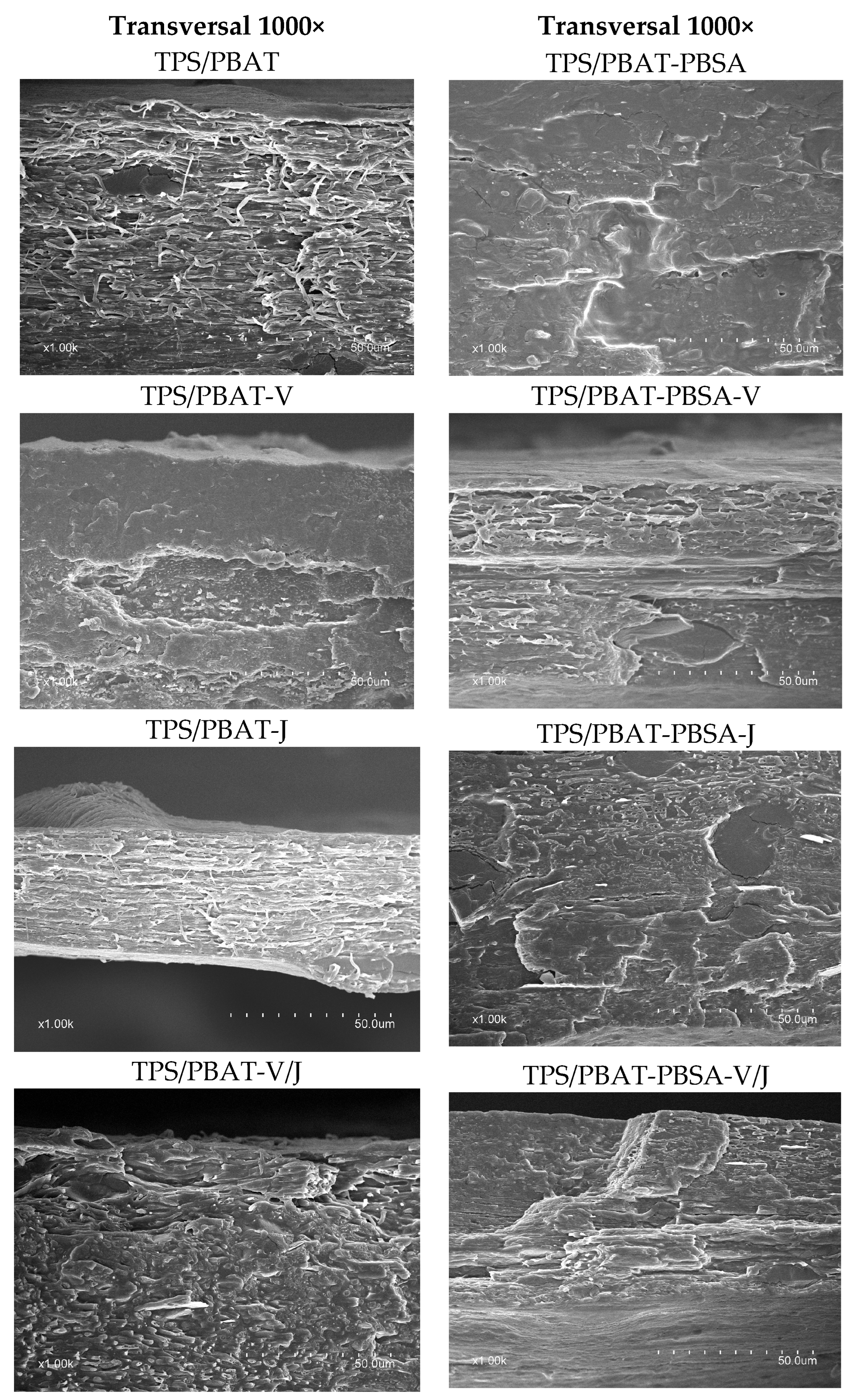 Applsci 15 00456 g004