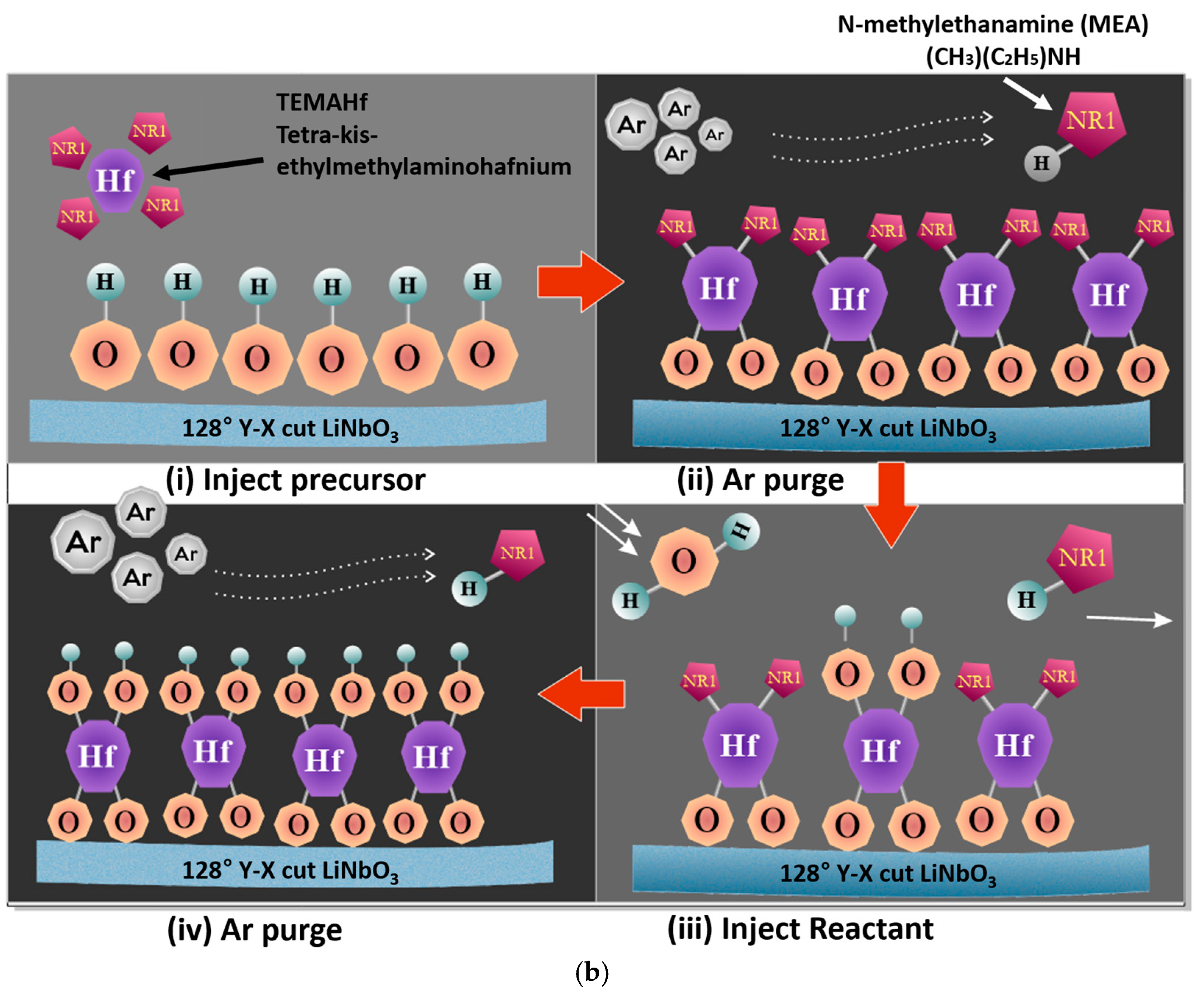 Applsci 15 00464 g004b