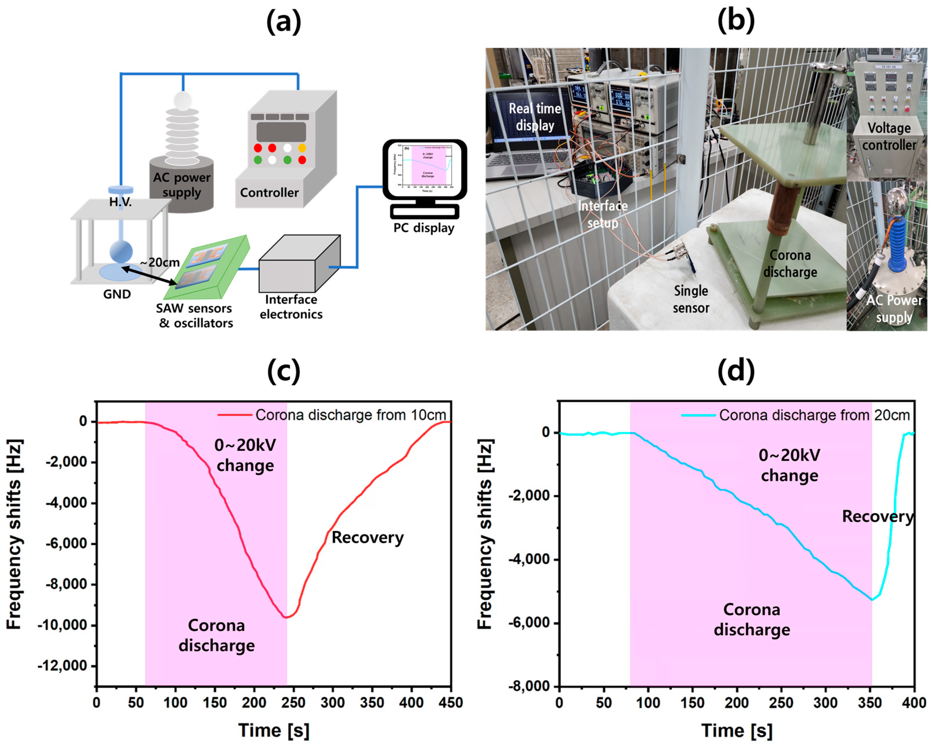 Applsci 15 00464 g012