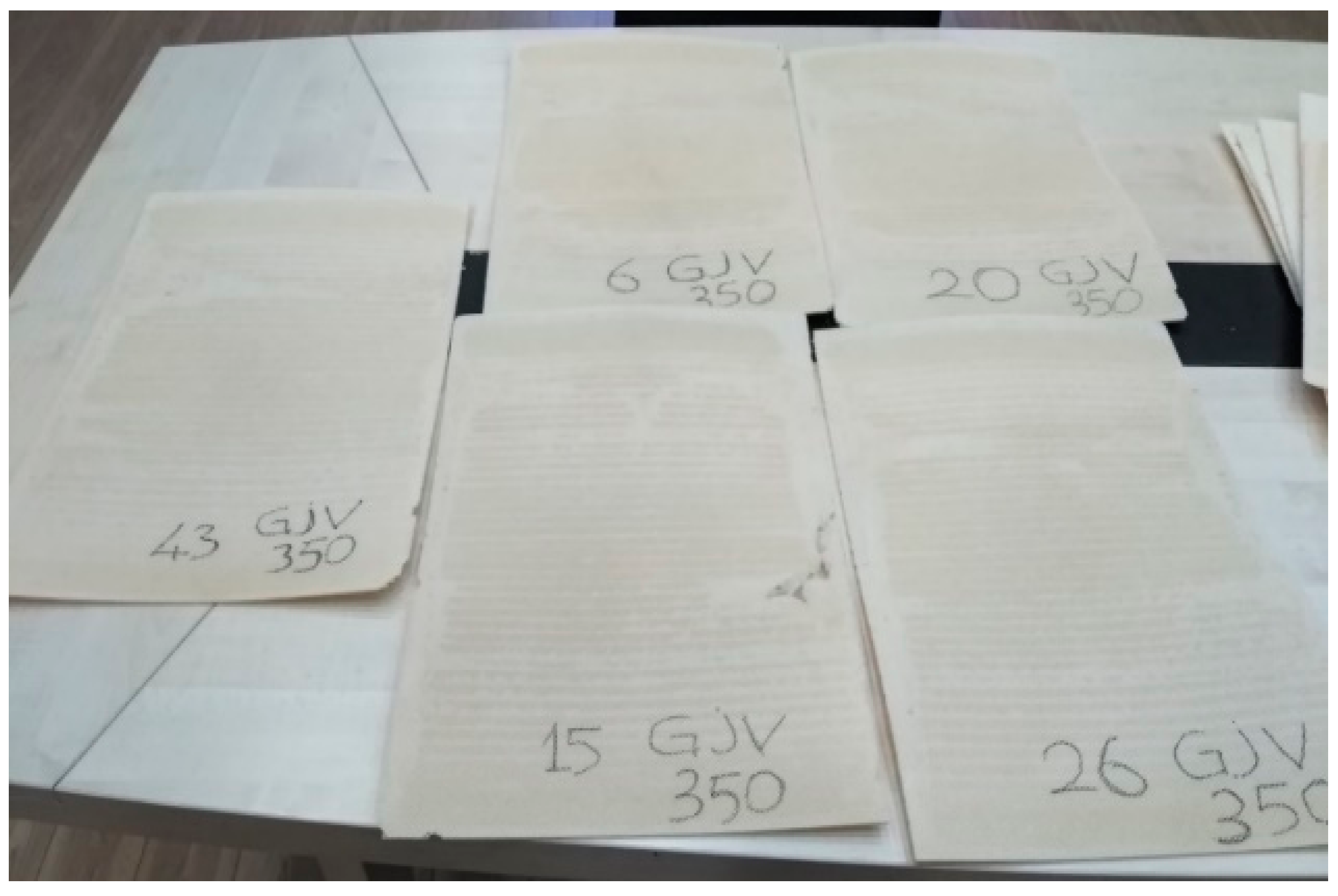 Applsci 15 00466 g010