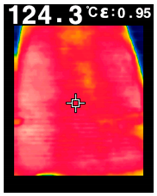 Applsci 15 00466 i020