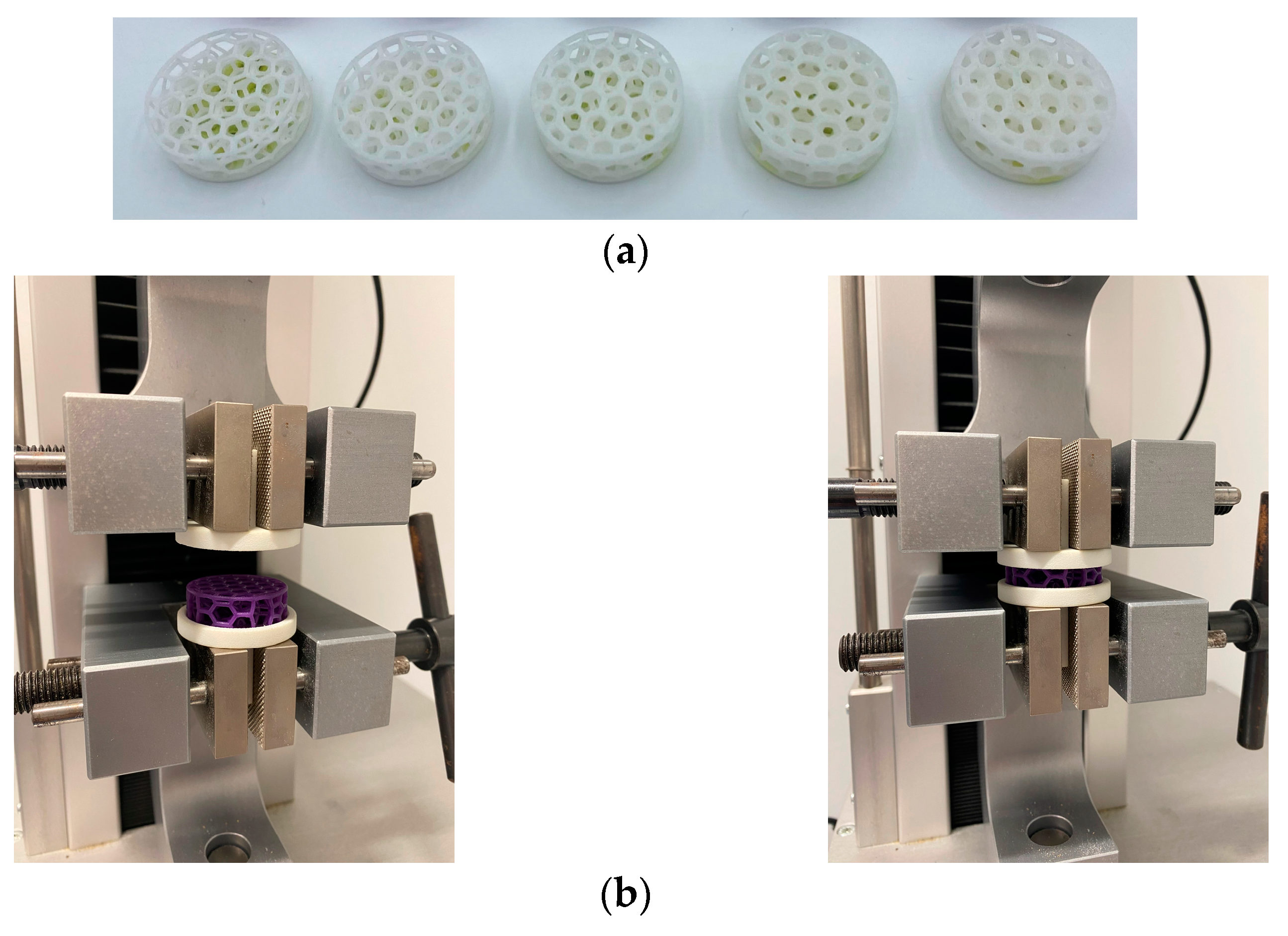 Applsci 15 00472 g002