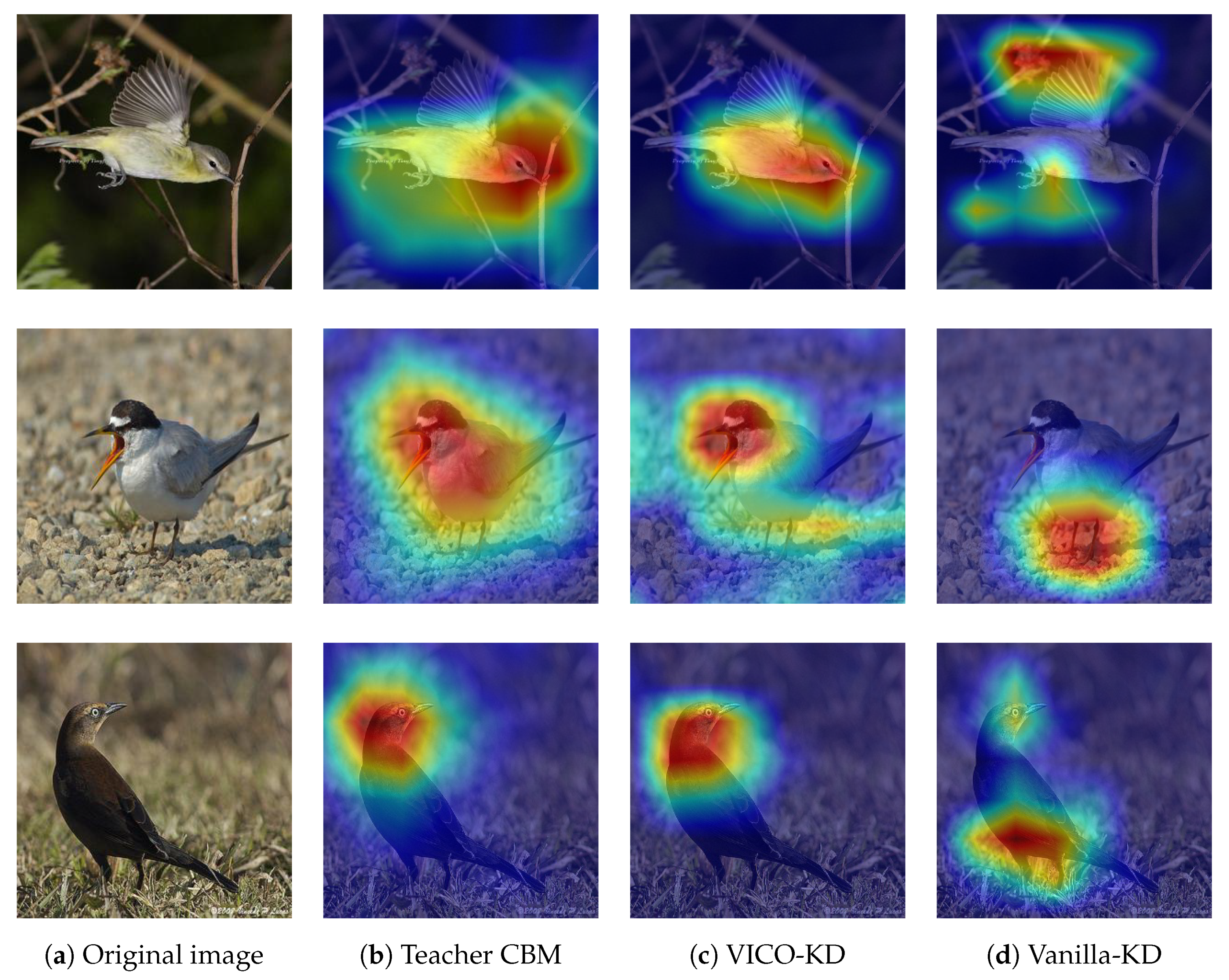 Applsci 15 00493 g004