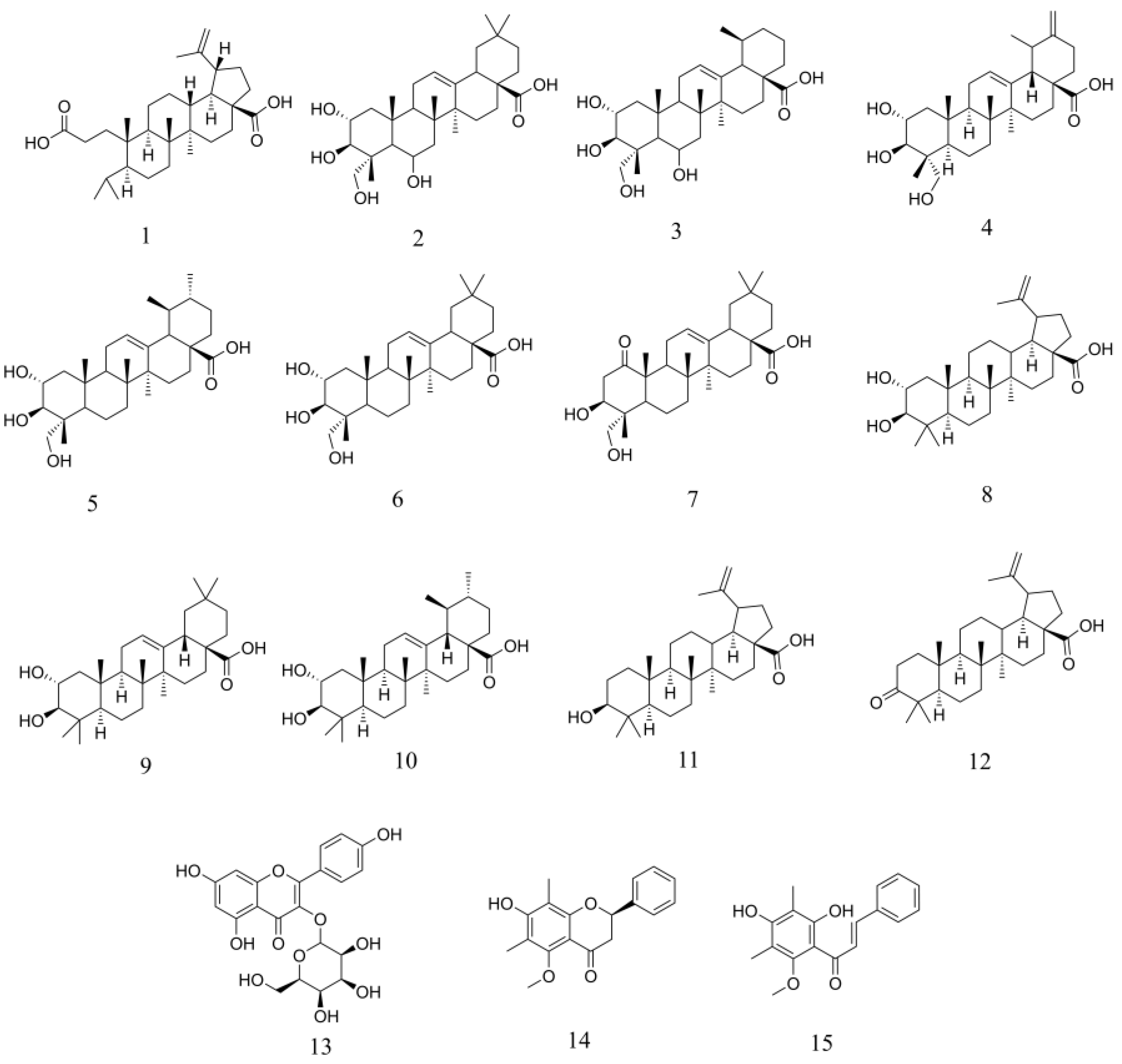 Applsci 15 00496 g004 Applsci 15 00496 g004