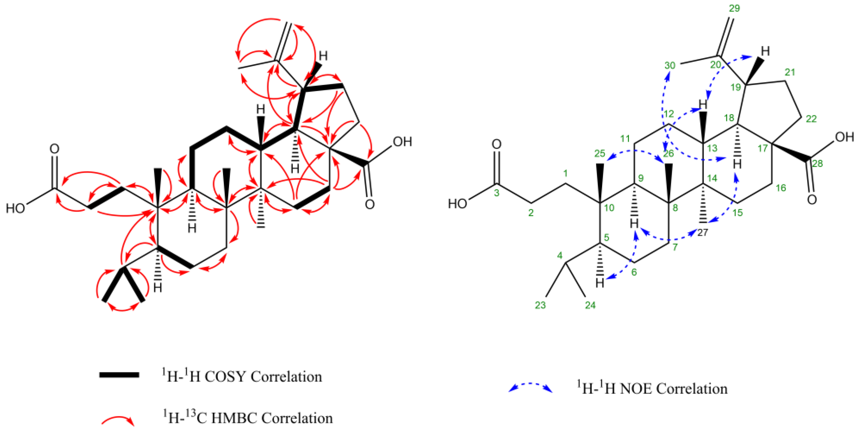 Applsci 15 00496 g005 Applsci 15 00496 g005