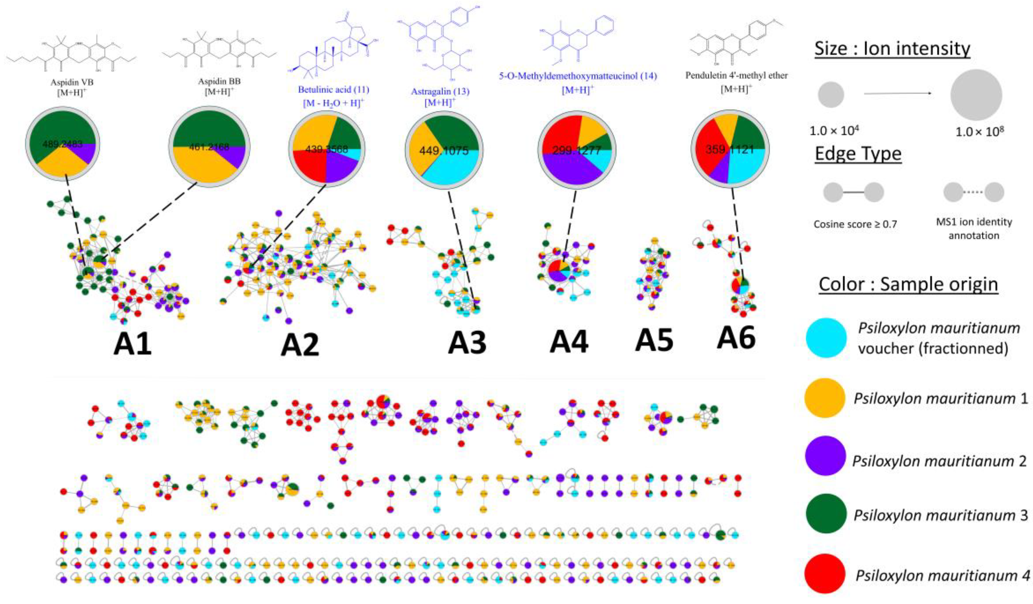 Applsci 15 00496 g006 Applsci 15 00496 g006