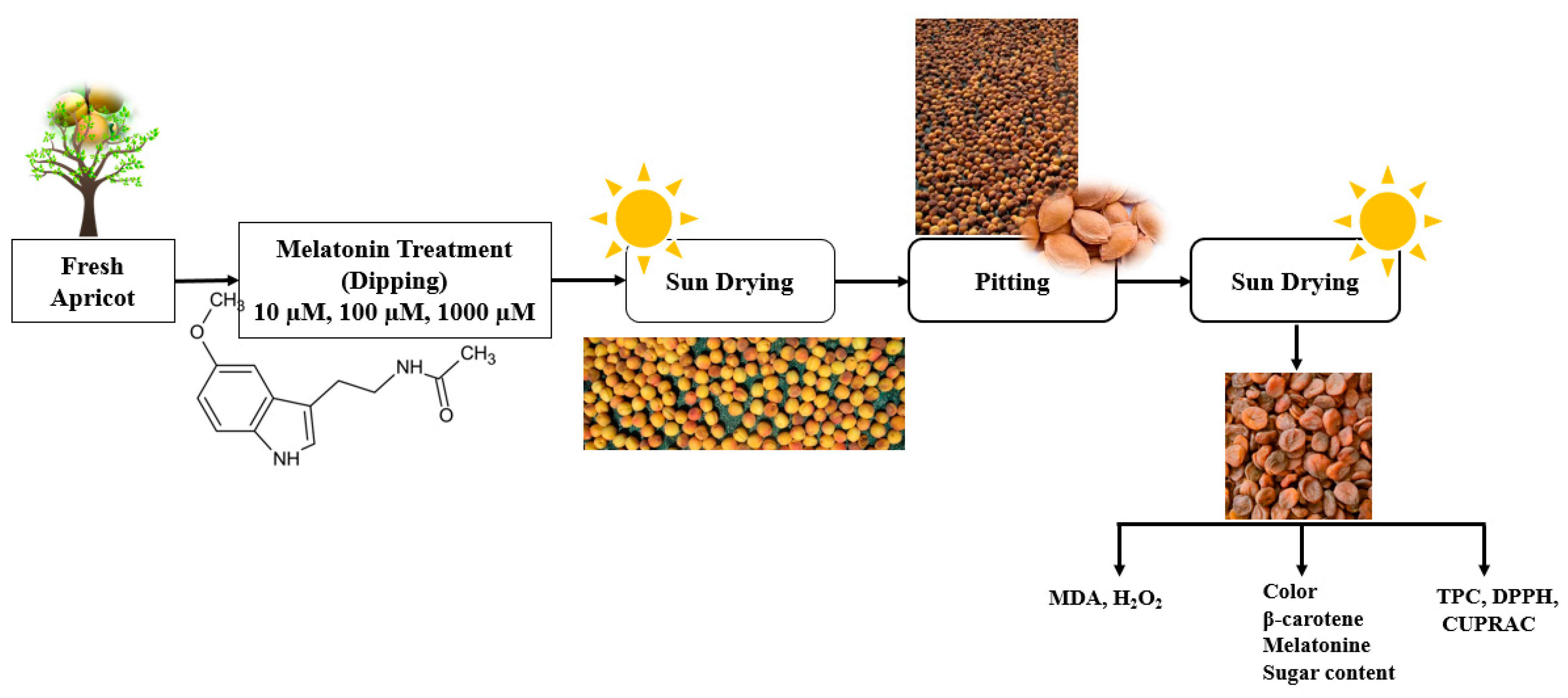 Applsci 15 00508 g001