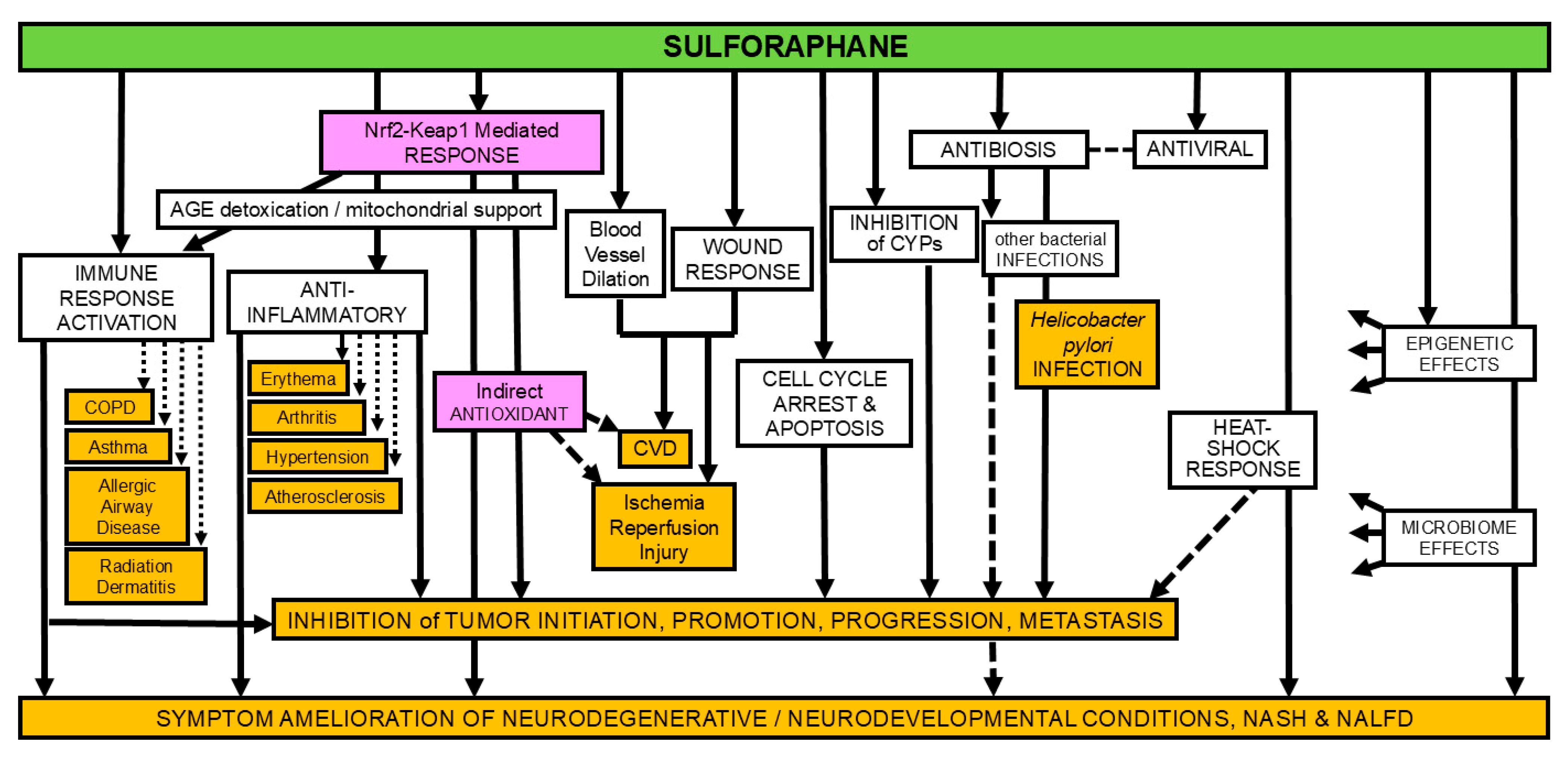 Applsci 15 00522 g001