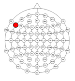 Applsci 15 00530 i001