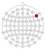 Applsci 15 00530 i002