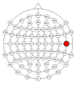 Applsci 15 00530 i004