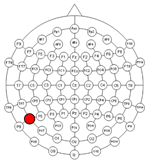 Applsci 15 00530 i005