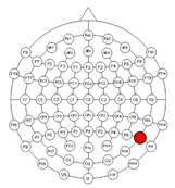 Applsci 15 00530 i006