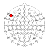 Applsci 15 00530 i007