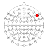 Applsci 15 00530 i008