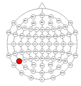 Applsci 15 00530 i011