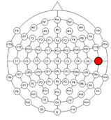 Applsci 15 00530 i016