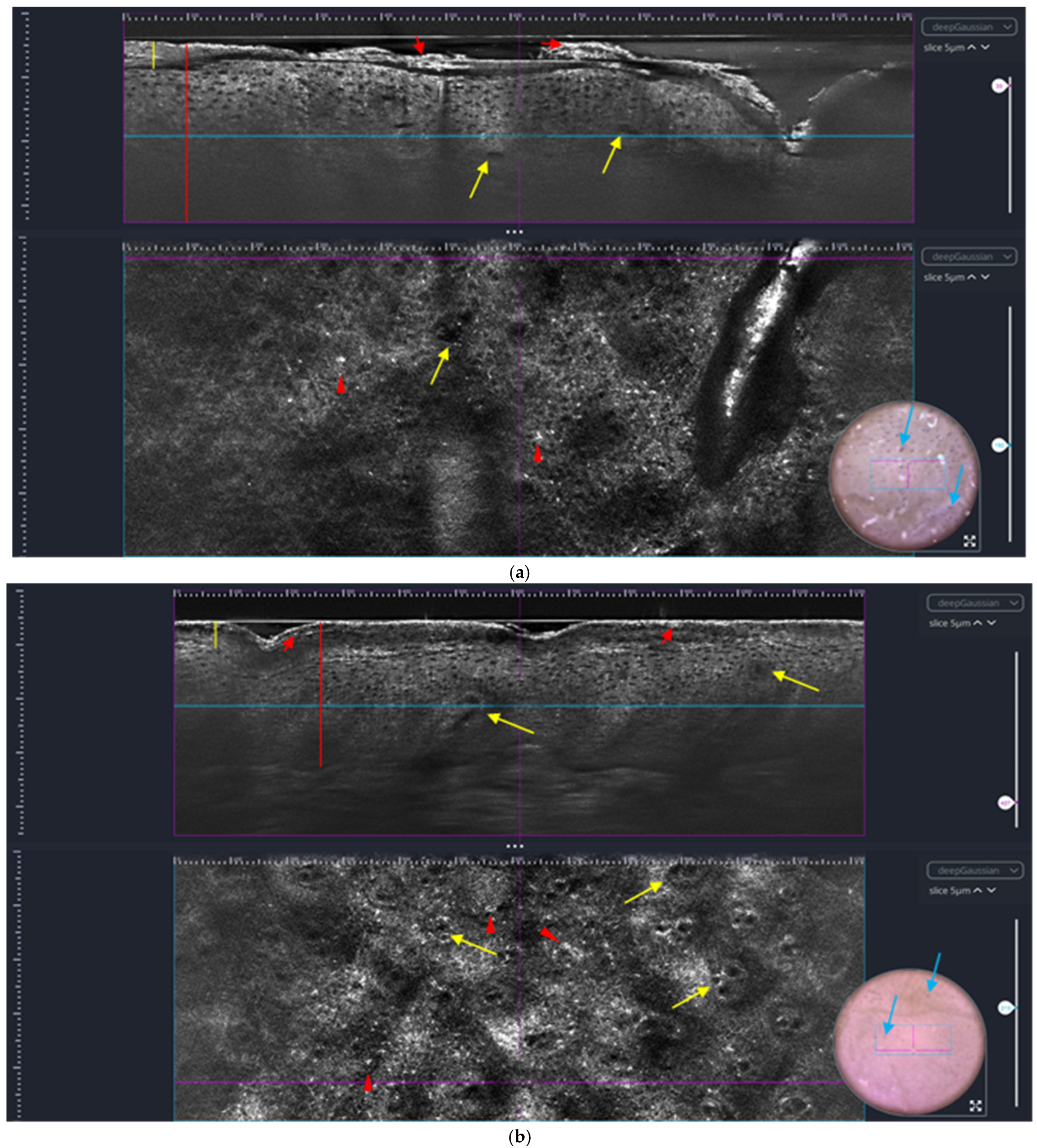 Applsci 15 00535 g001a