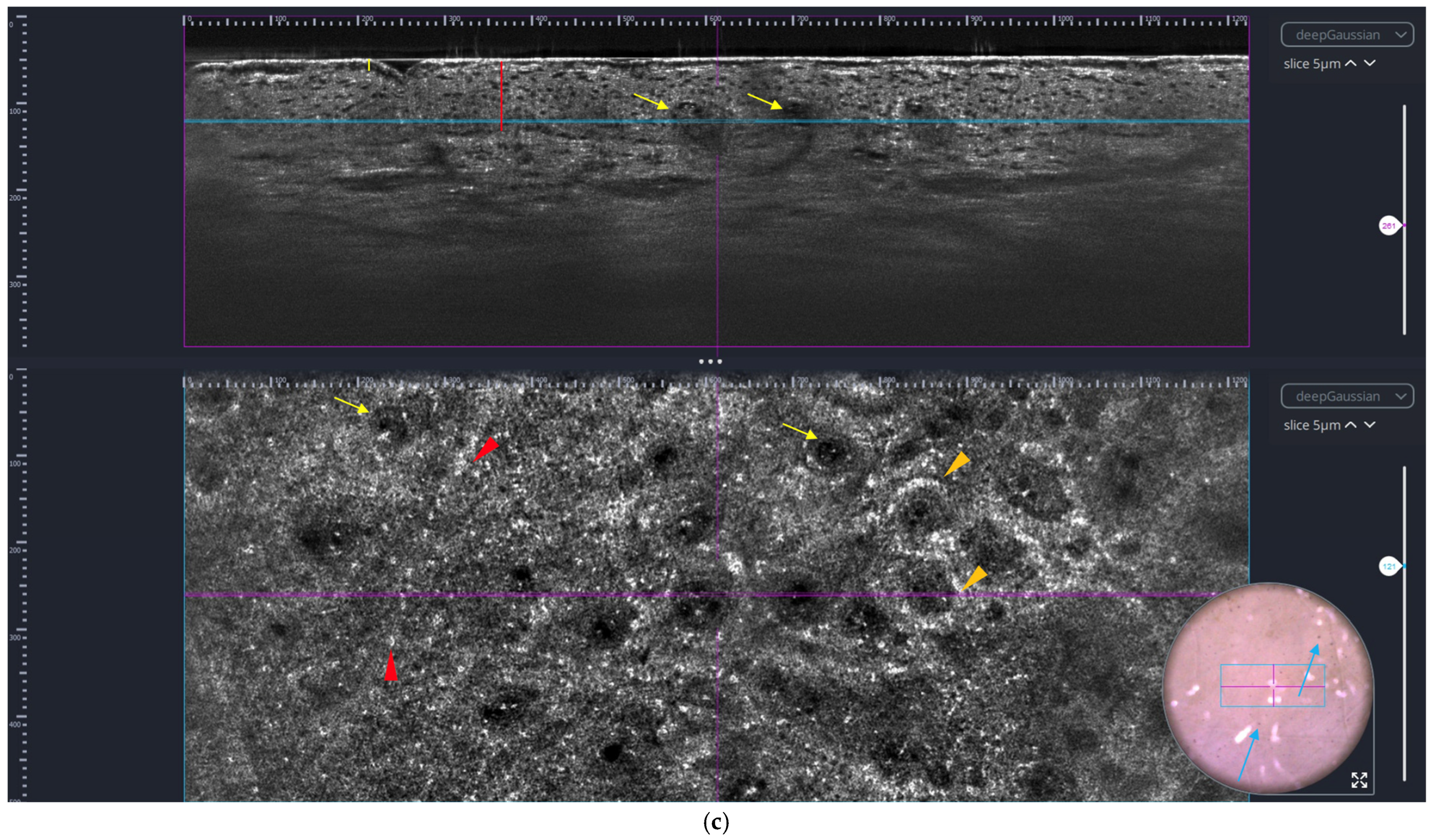 Applsci 15 00535 g001b