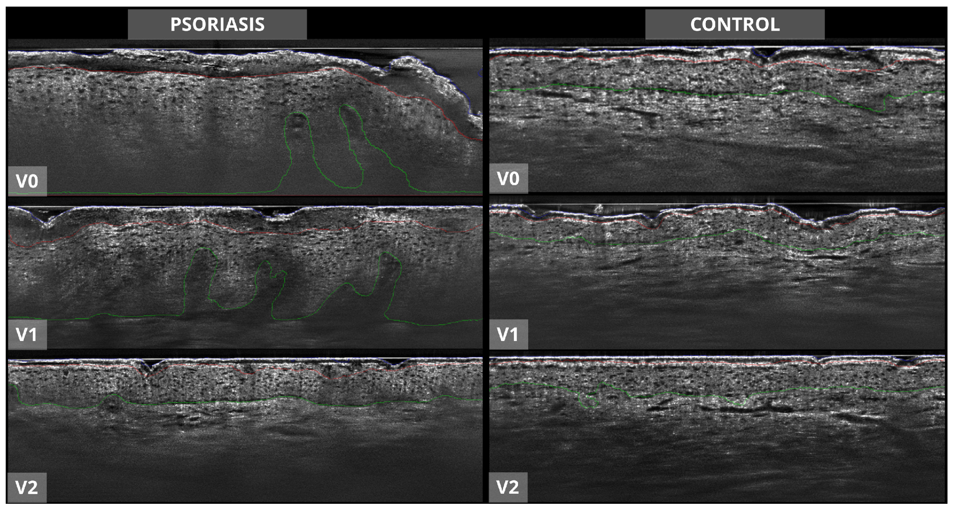 Applsci 15 00535 g002