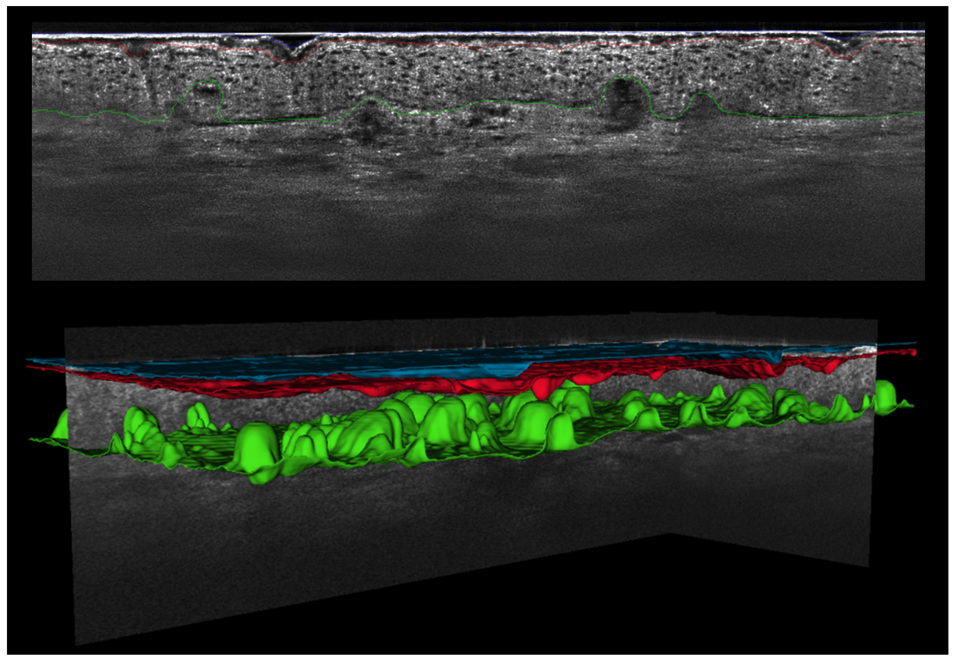 Applsci 15 00535 g003