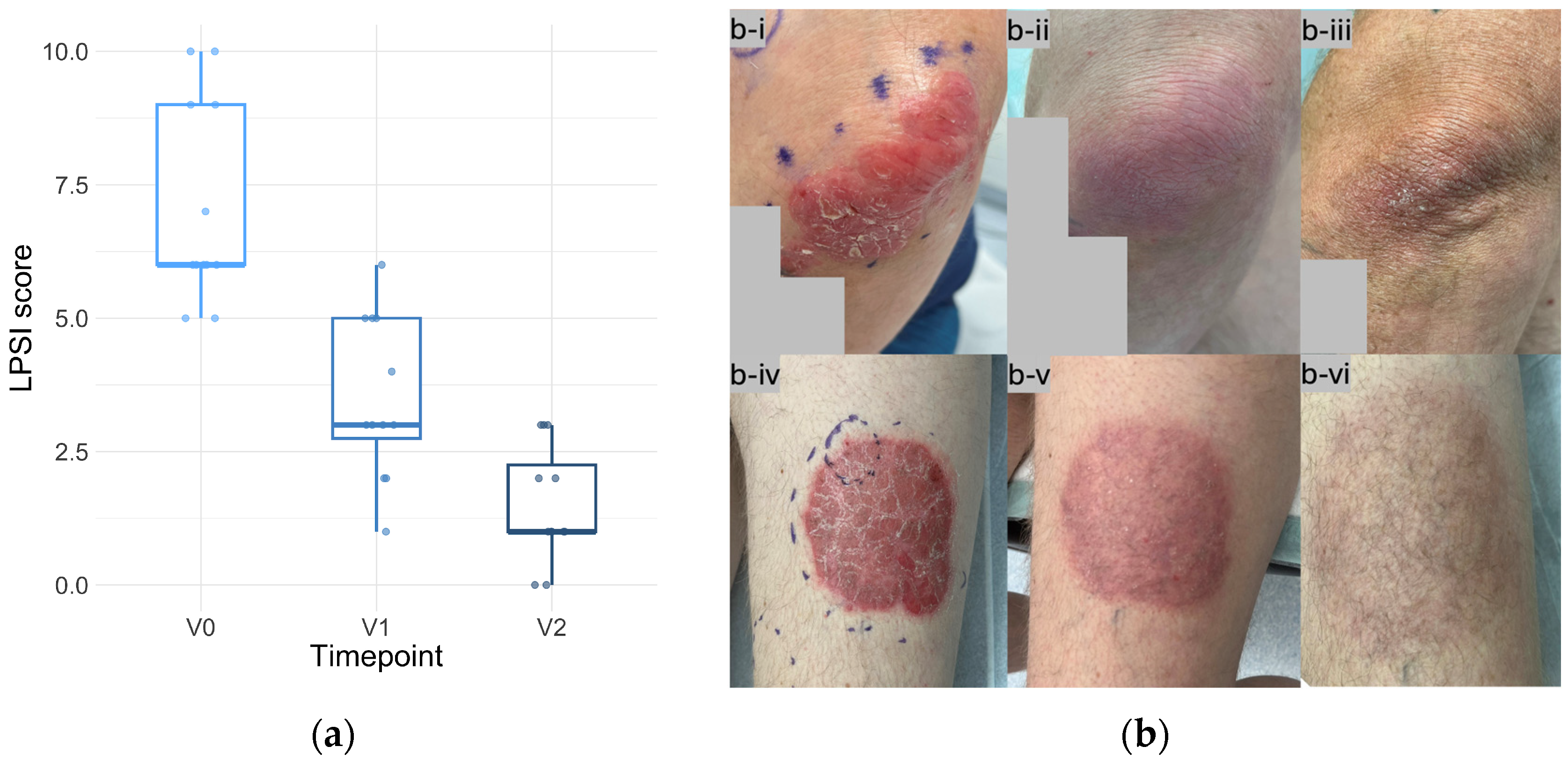 Applsci 15 00535 g005
