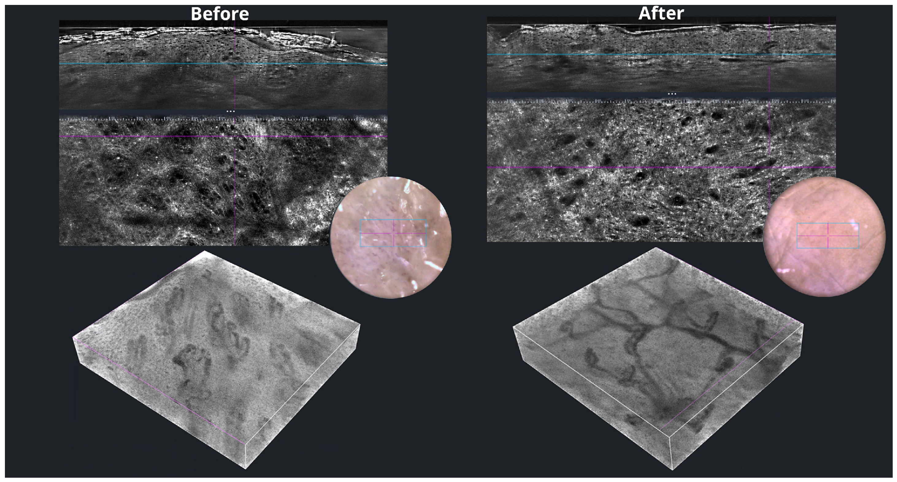 Applsci 15 00535 g010