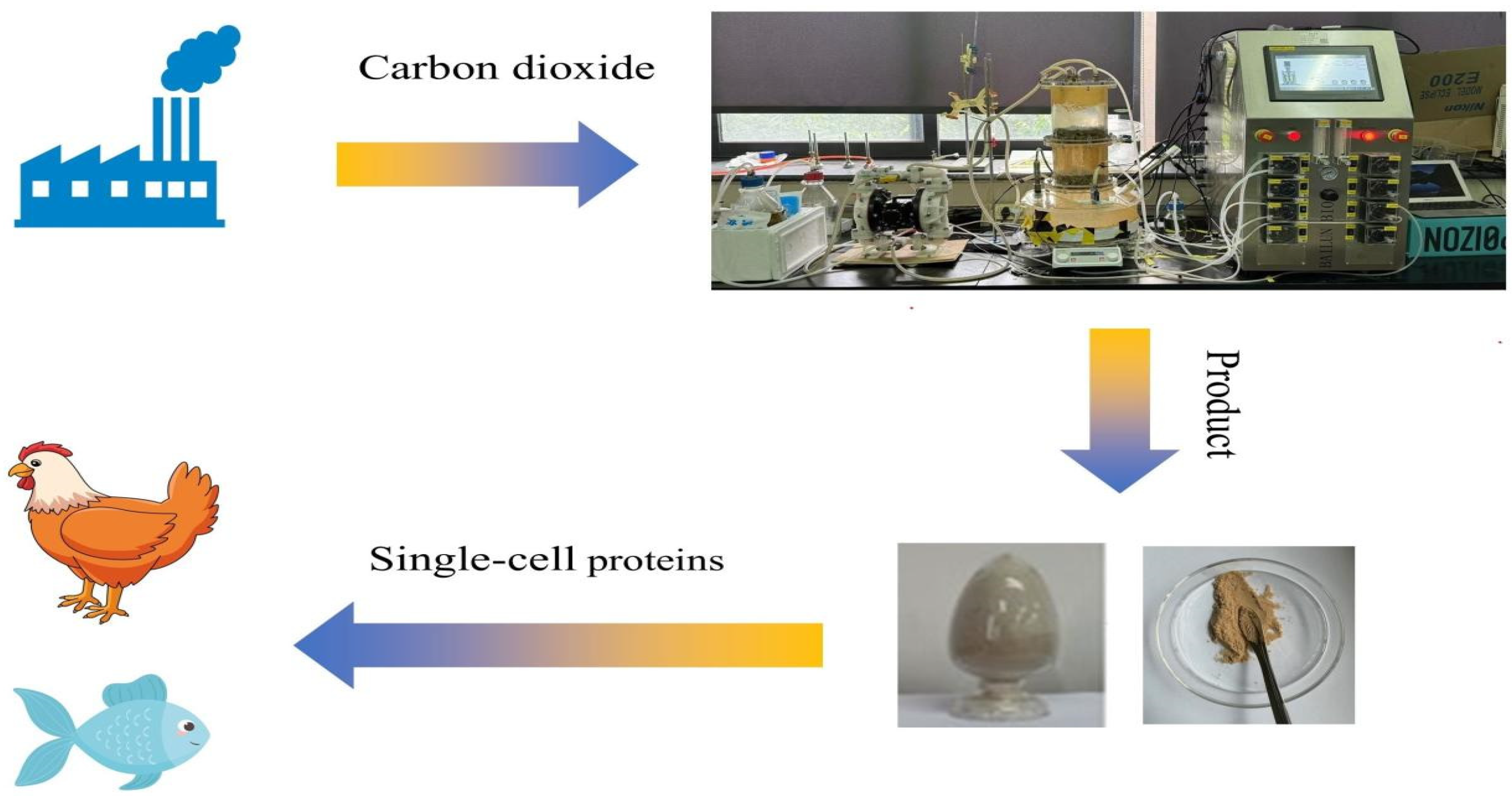 Applsci 15 00540 g001