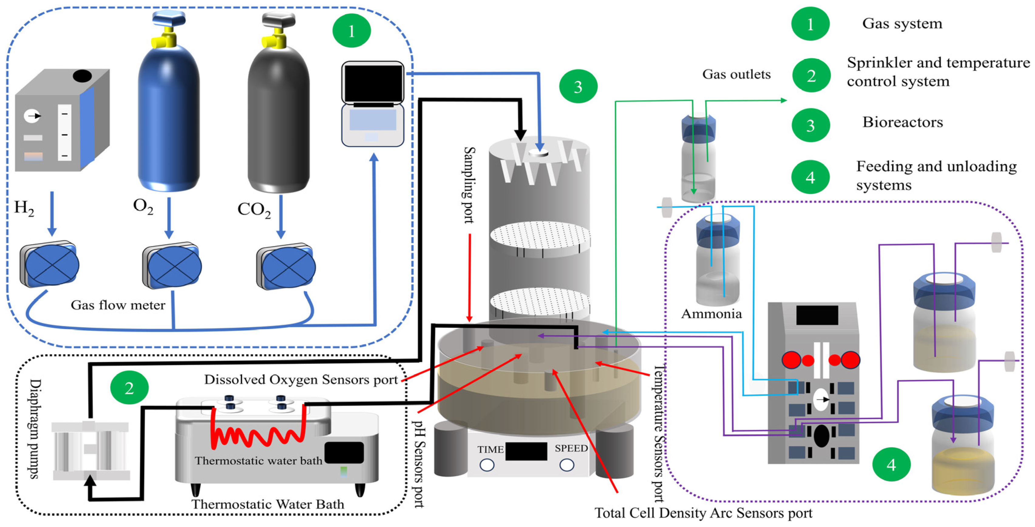 Applsci 15 00540 g002
