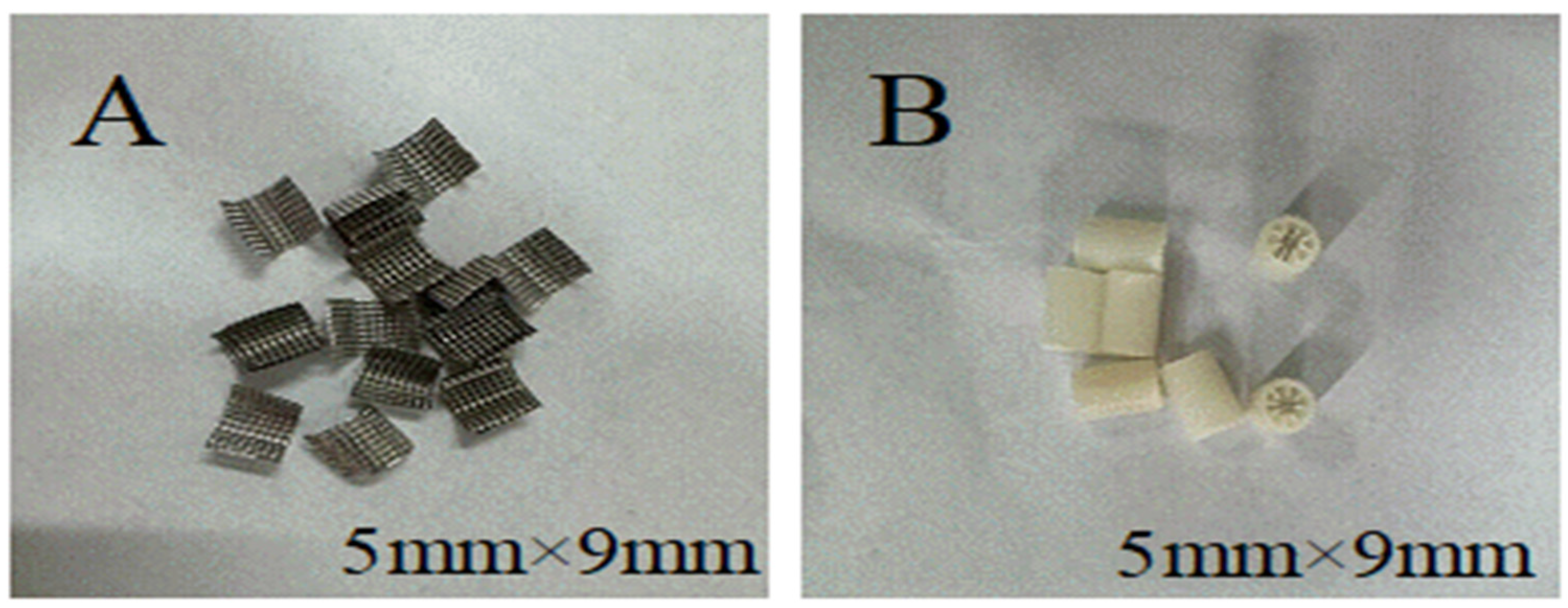 Applsci 15 00540 g004