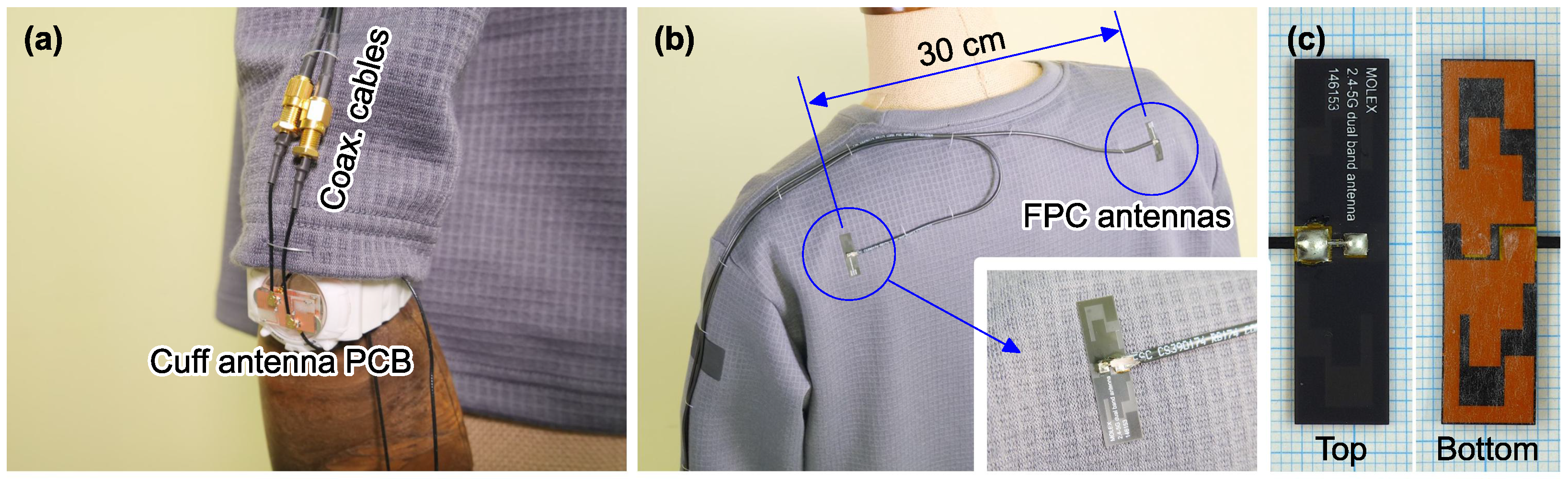 Applsci 15 00557 g004