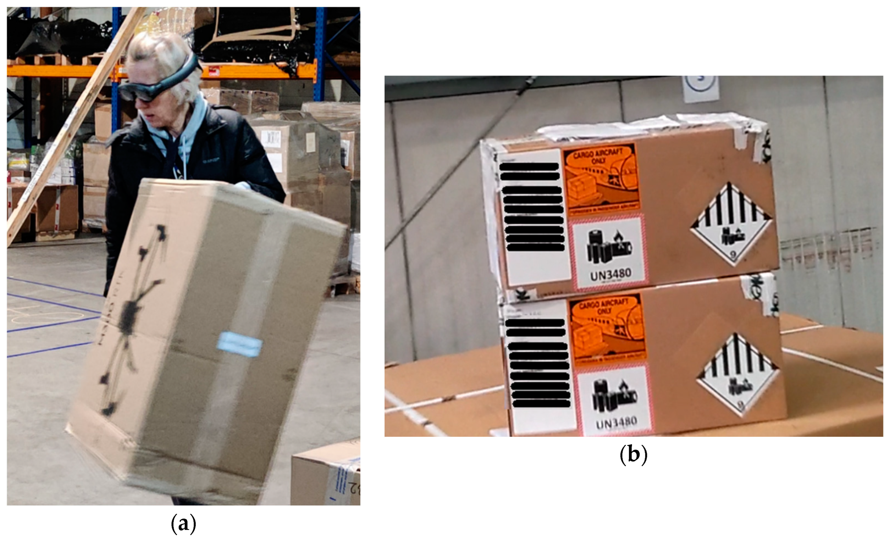 Applsci 15 00589 g004