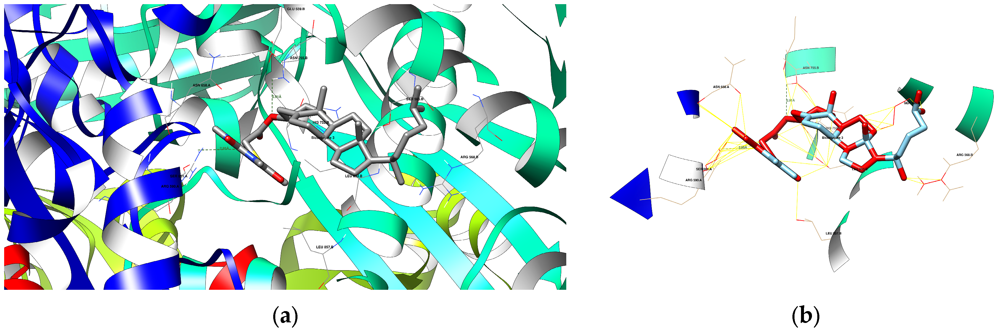 Applsci 15 00591 g004