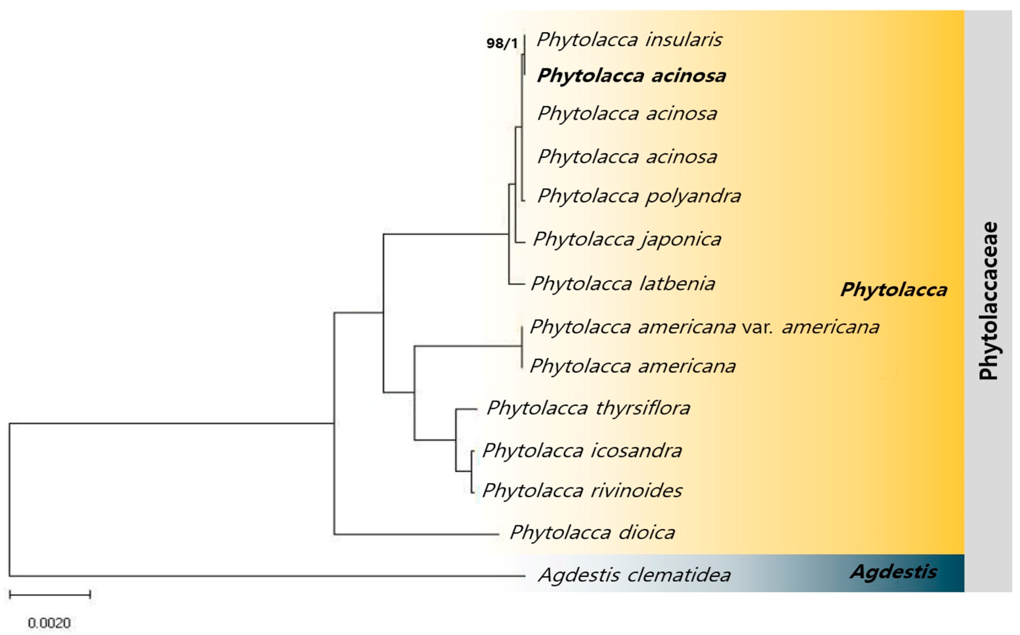 Applsci 15 00593 g007