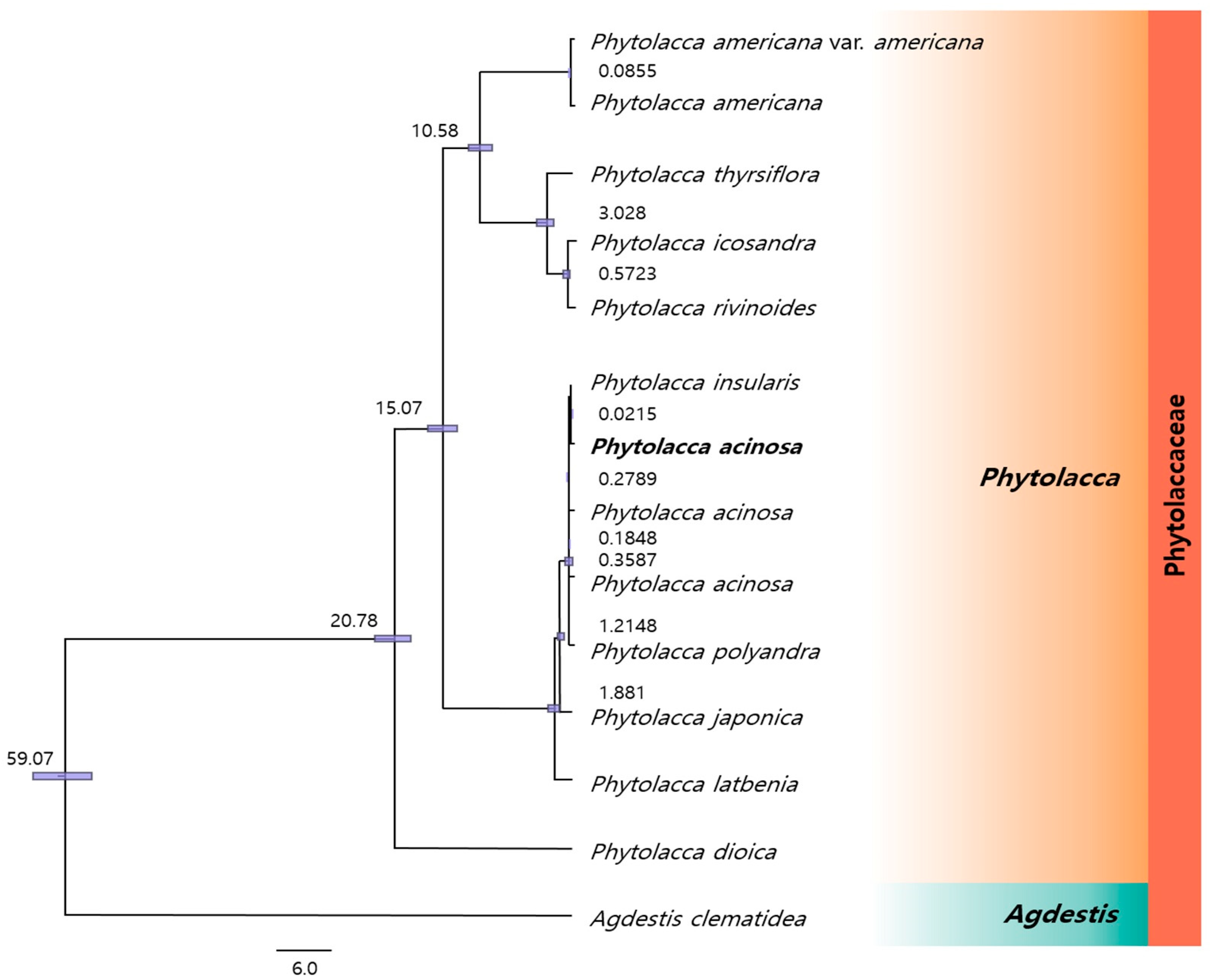 Applsci 15 00593 g008