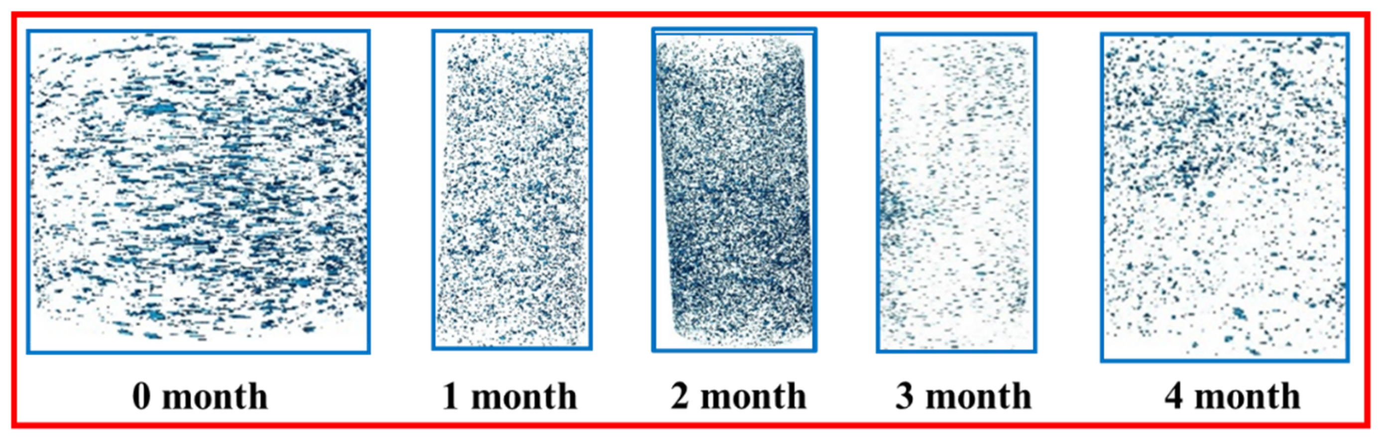 Applsci 15 00607 g007