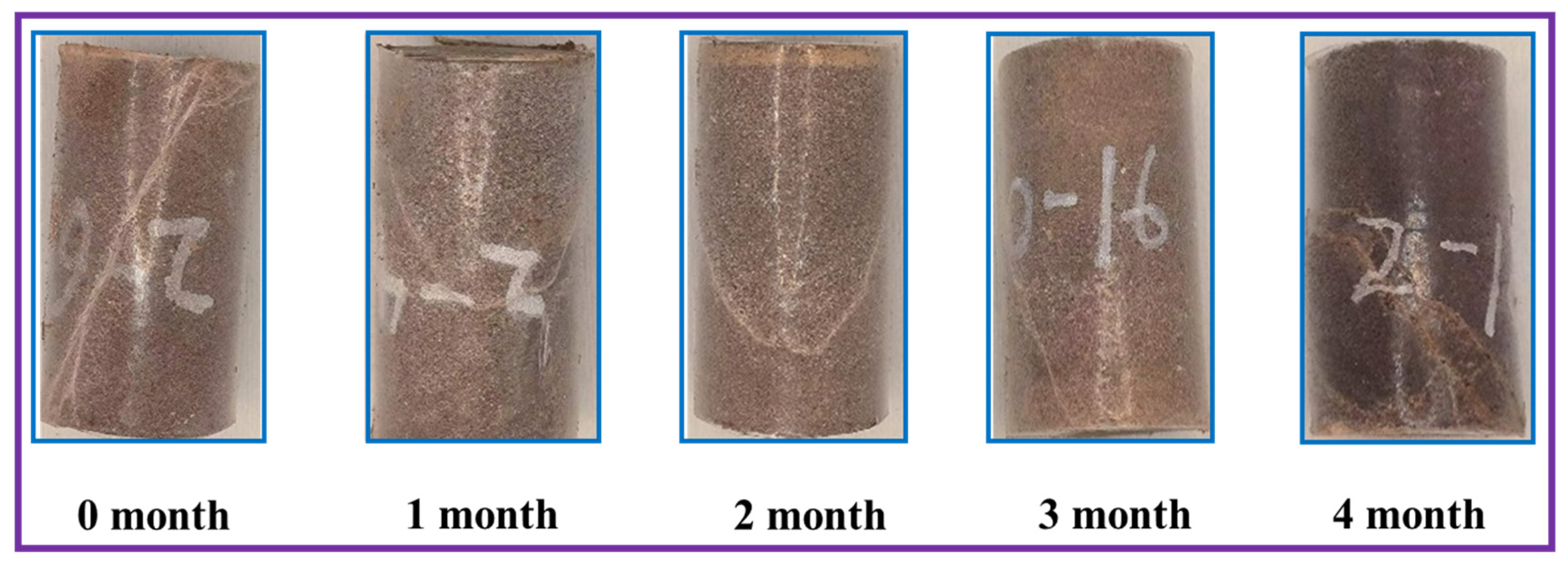 Applsci 15 00607 g011