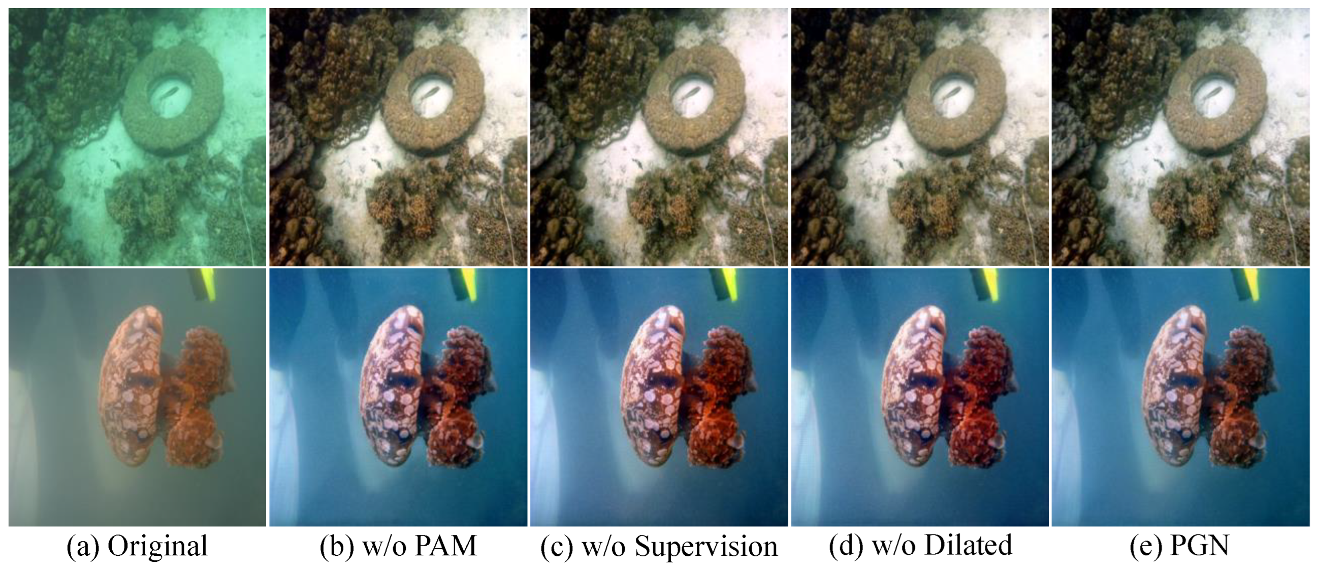 Applsci 15 00641 g009