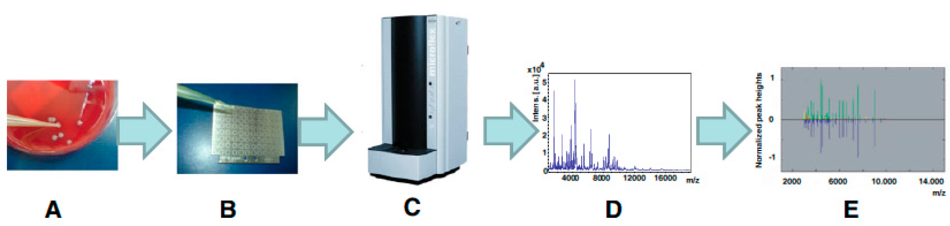 Applsci 15 00644 g003