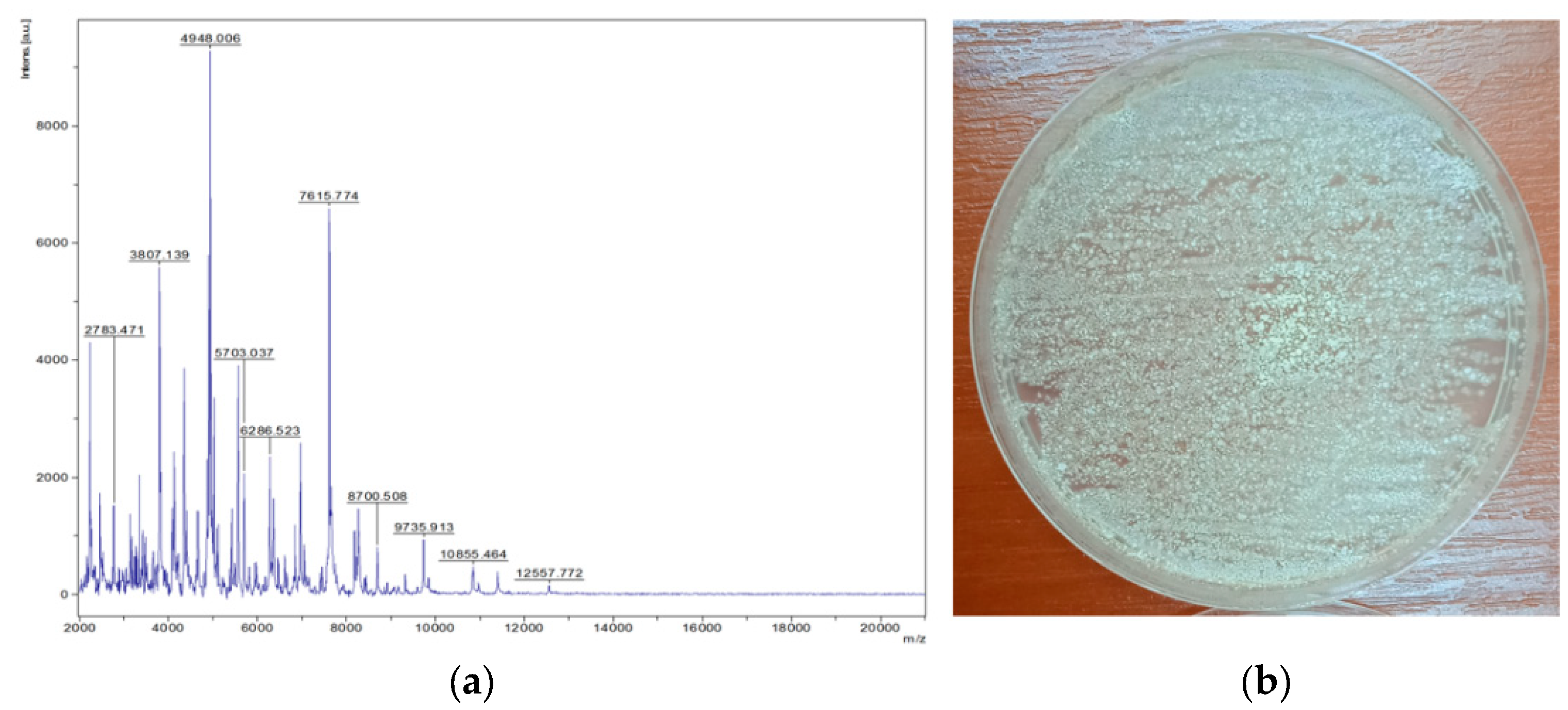 Applsci 15 00644 g009