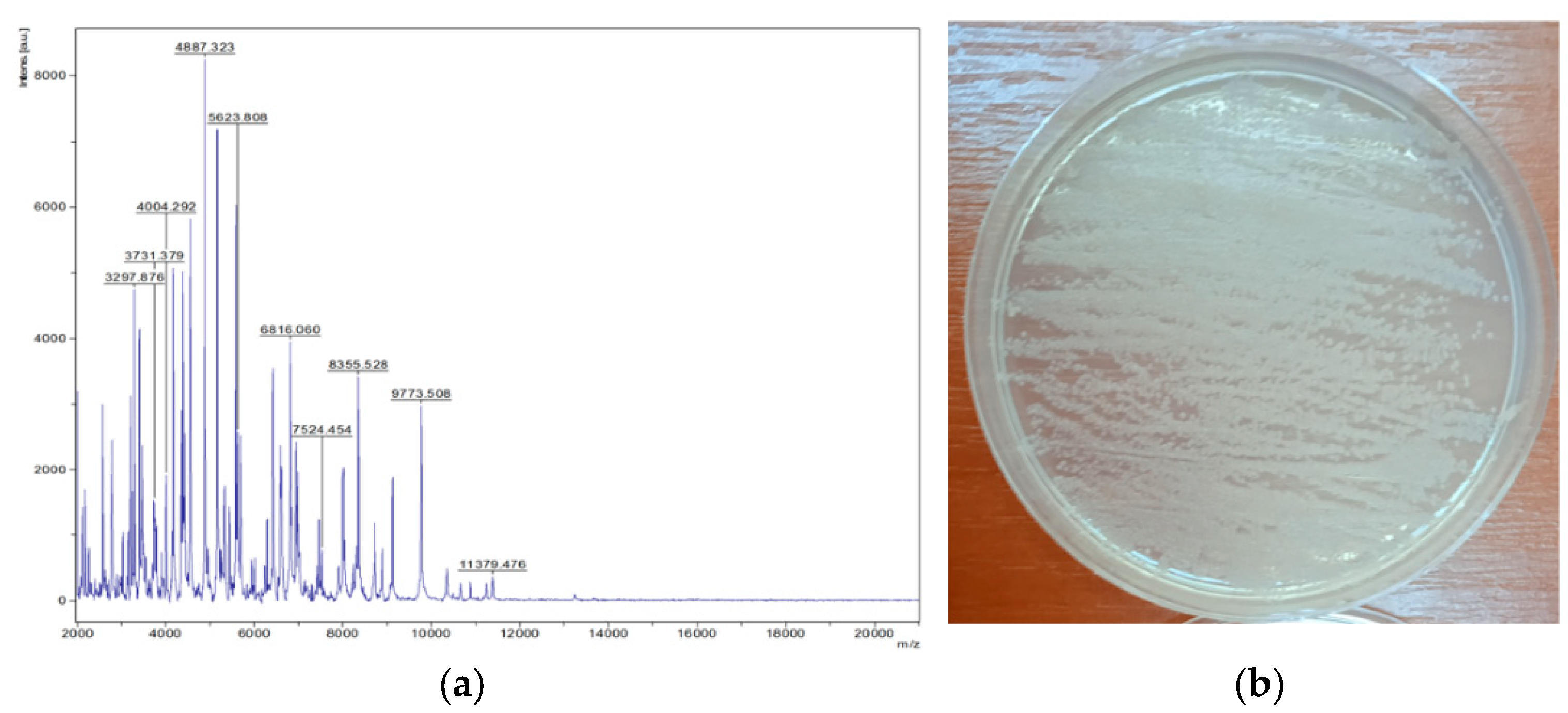 Applsci 15 00644 g010
